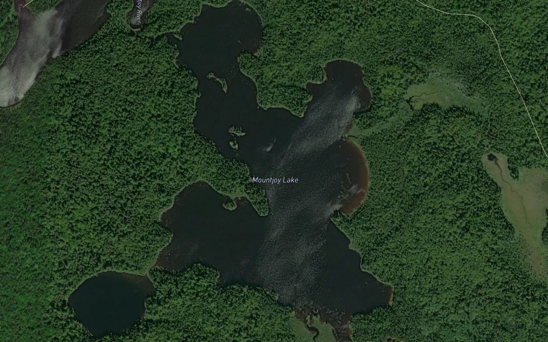 Satellite map of the Mountjoy Lake