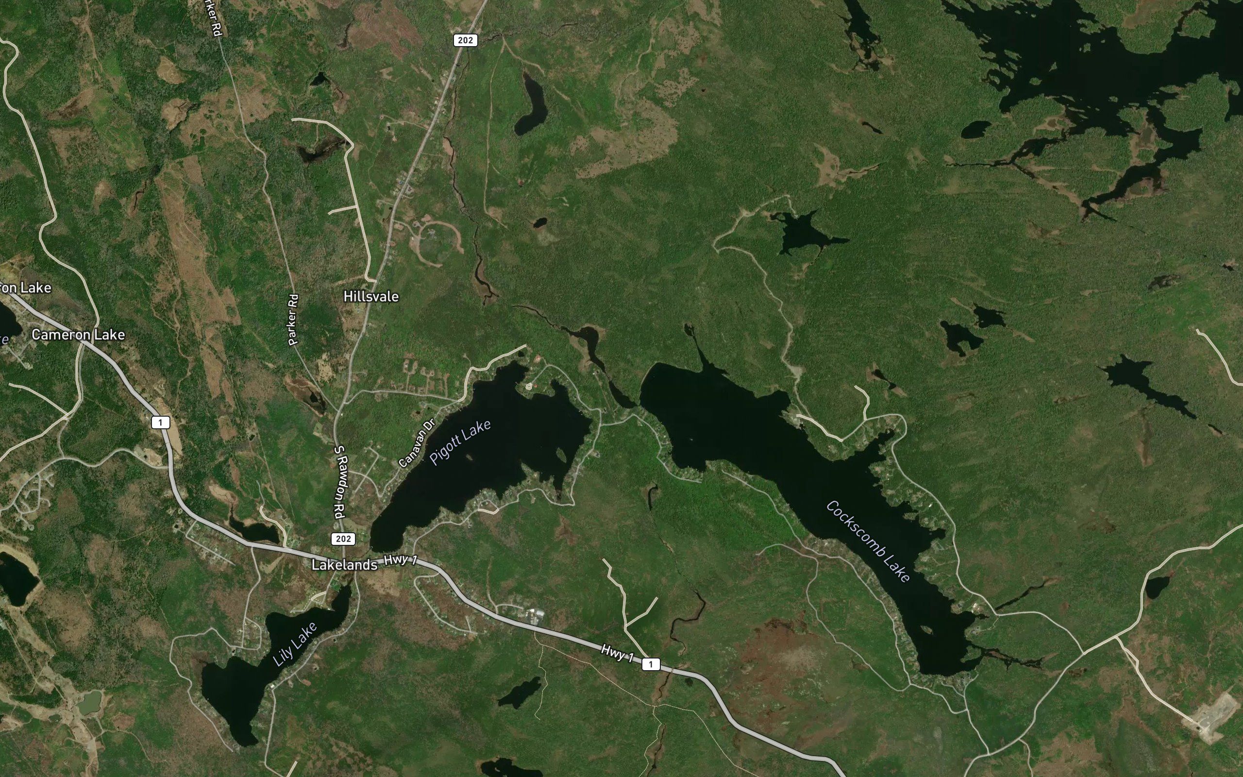 Black Brook