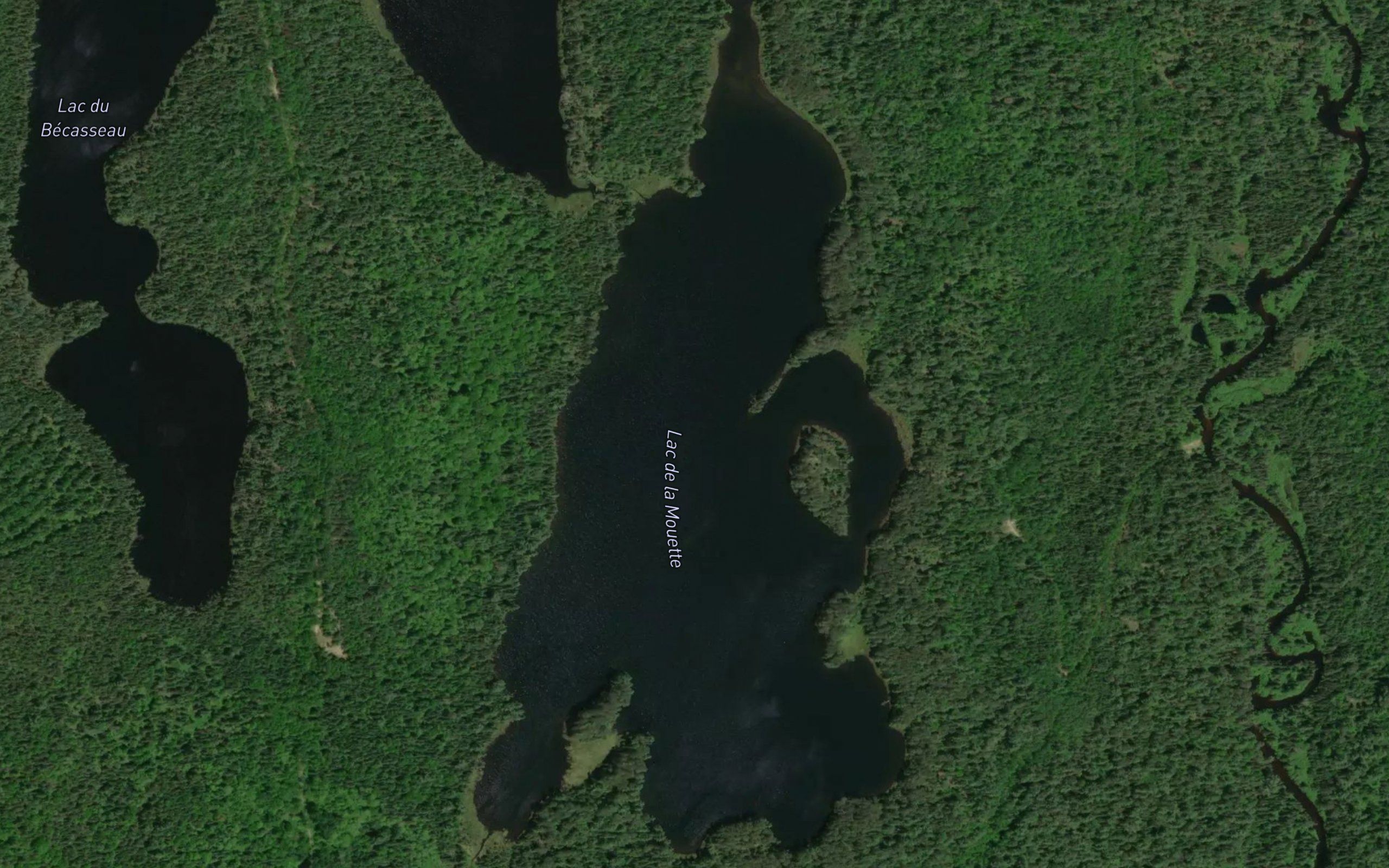 Lac de la Mouette
