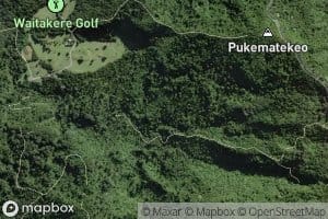 Toetoeroa Stream