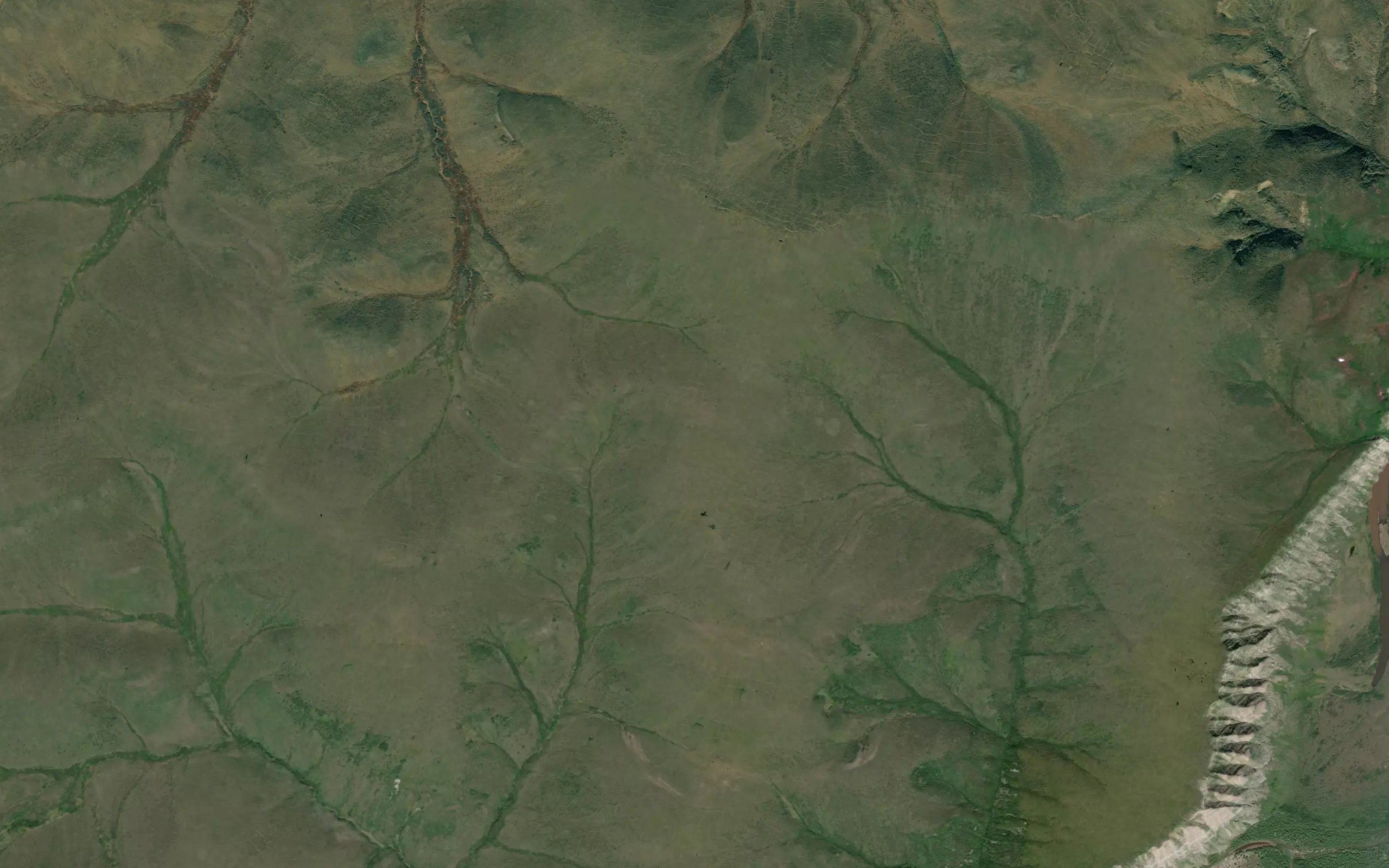 Chandler River