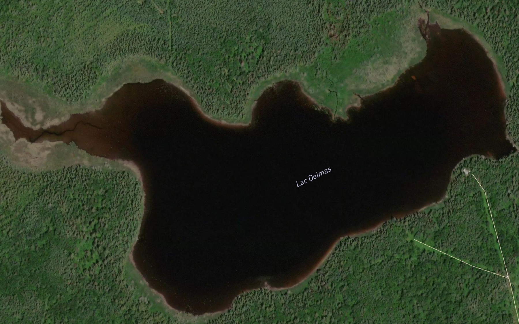Satellite map of the Lac Delmas
