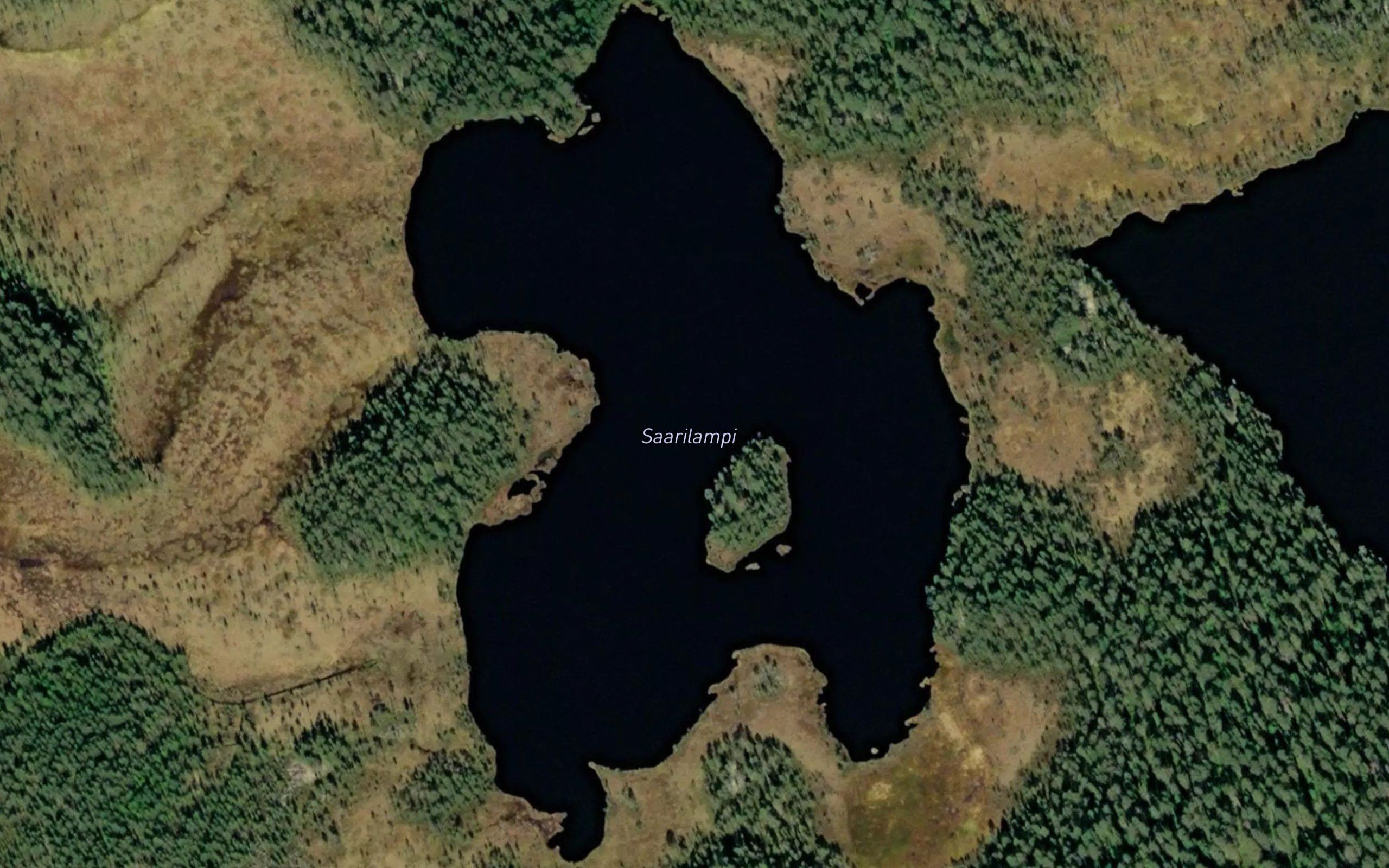 Saarilampi