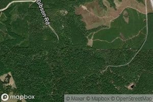 Big Thicket Menard Creek