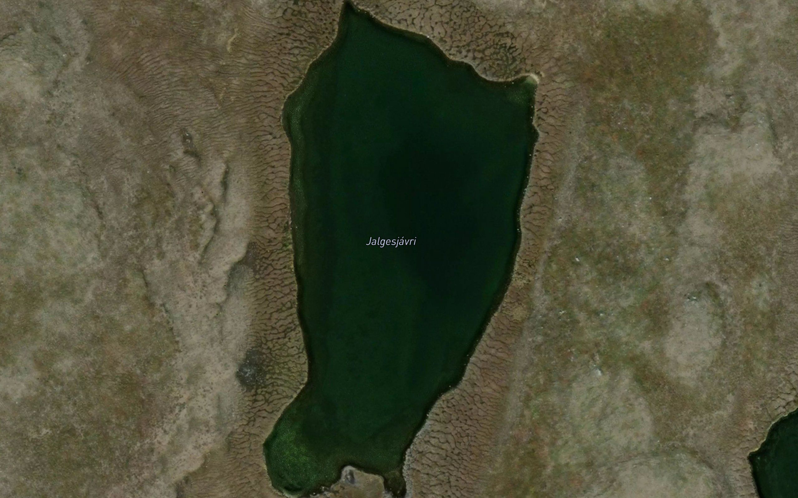 Jalgesjavri