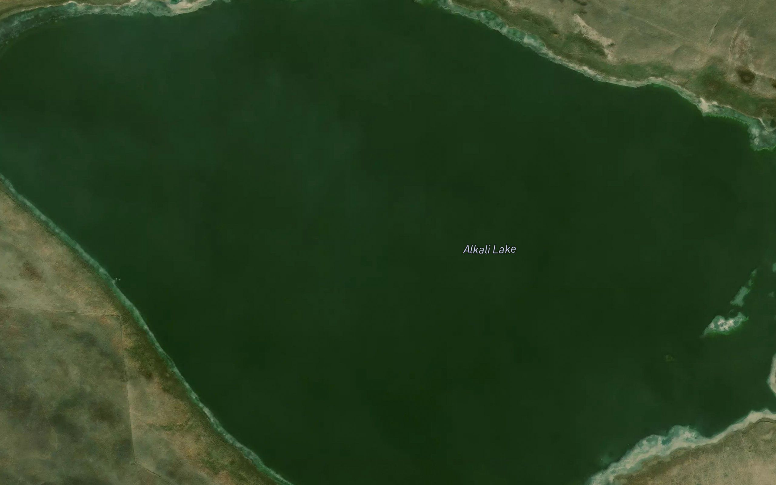 Alkali Lake