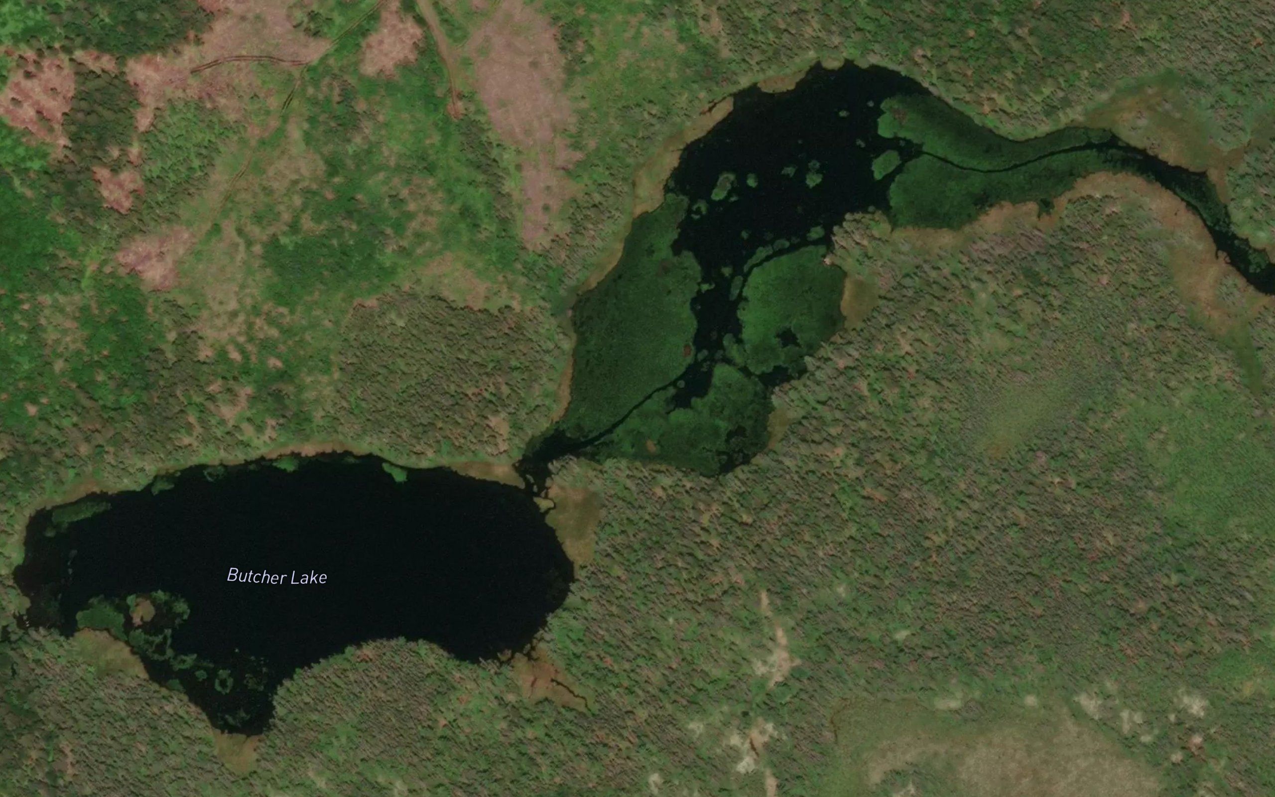 Butcher Lake