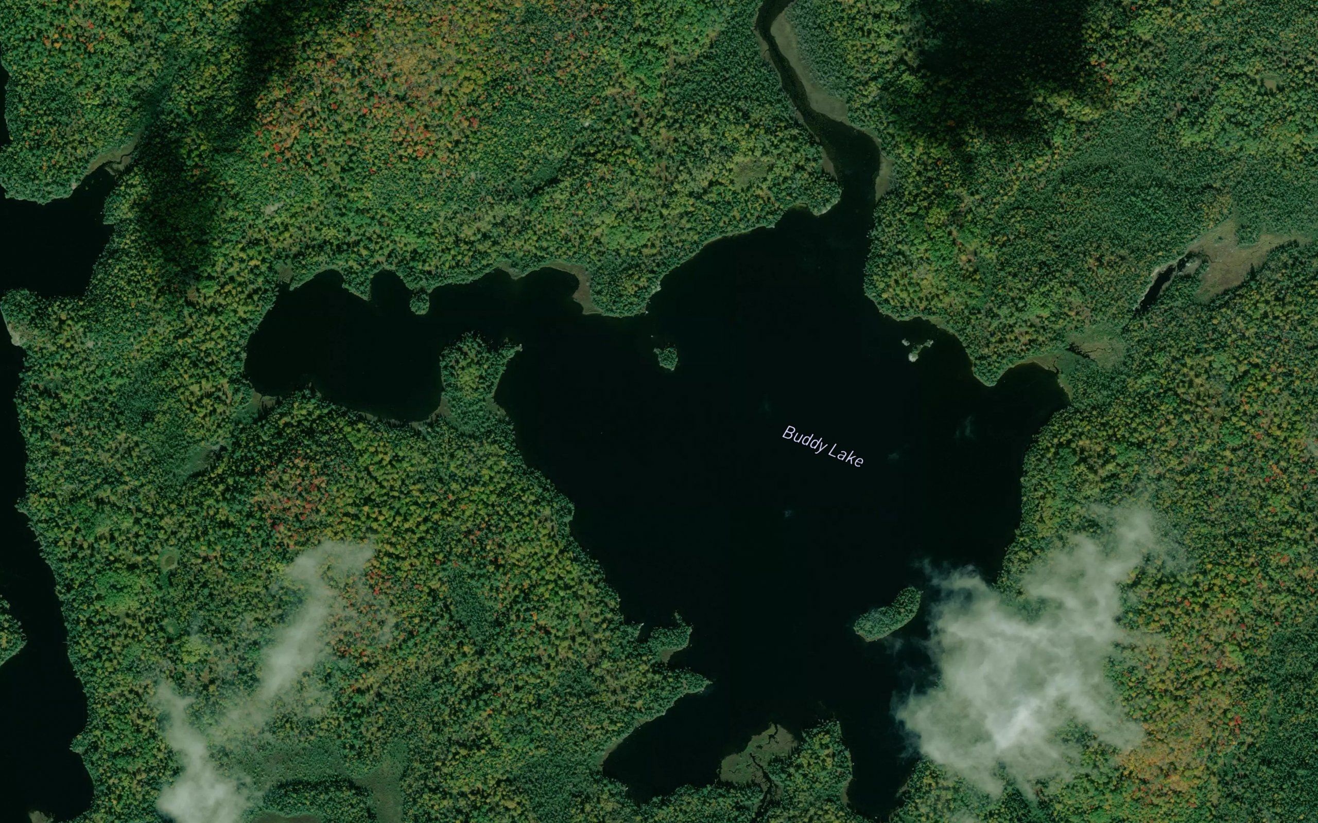Buddy Lake