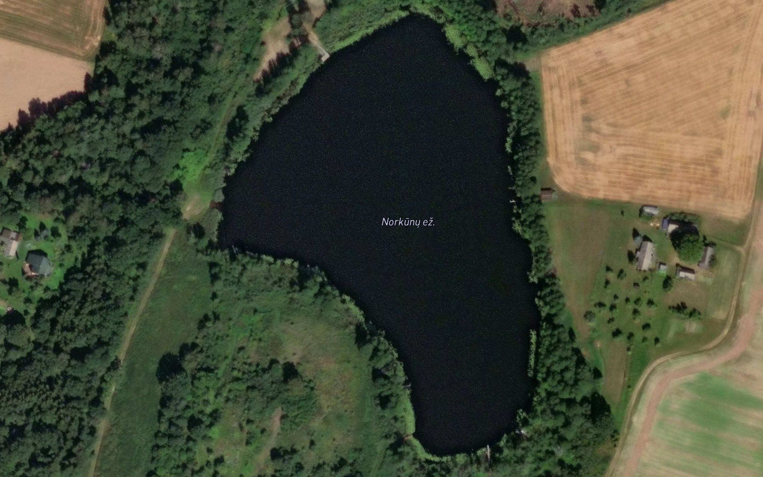 Norkunu Ezeras