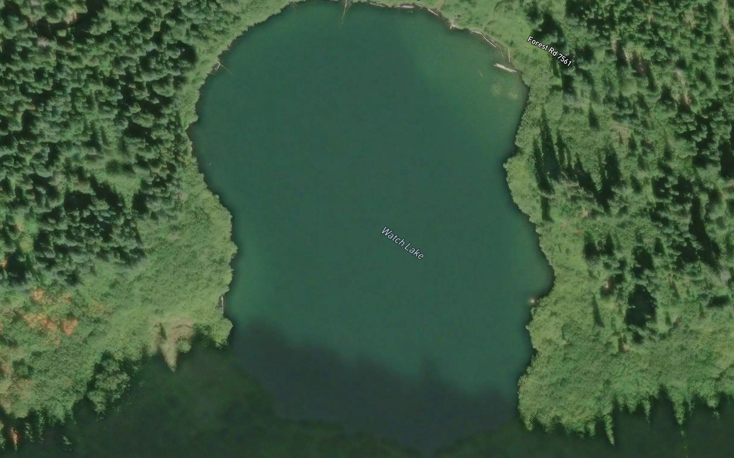 Watch Lake