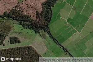 Dairy Rivulet