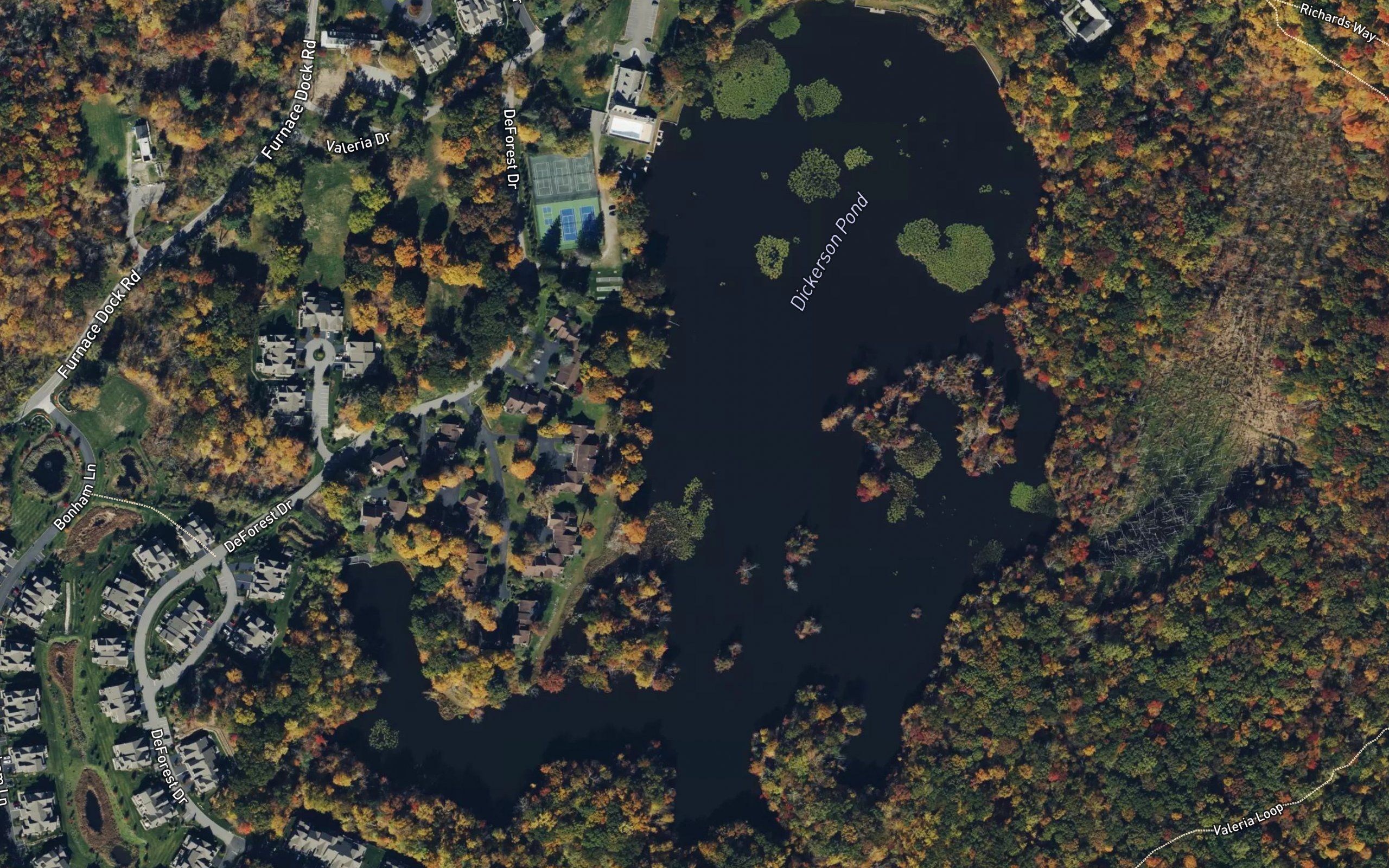 Dickerson Pond