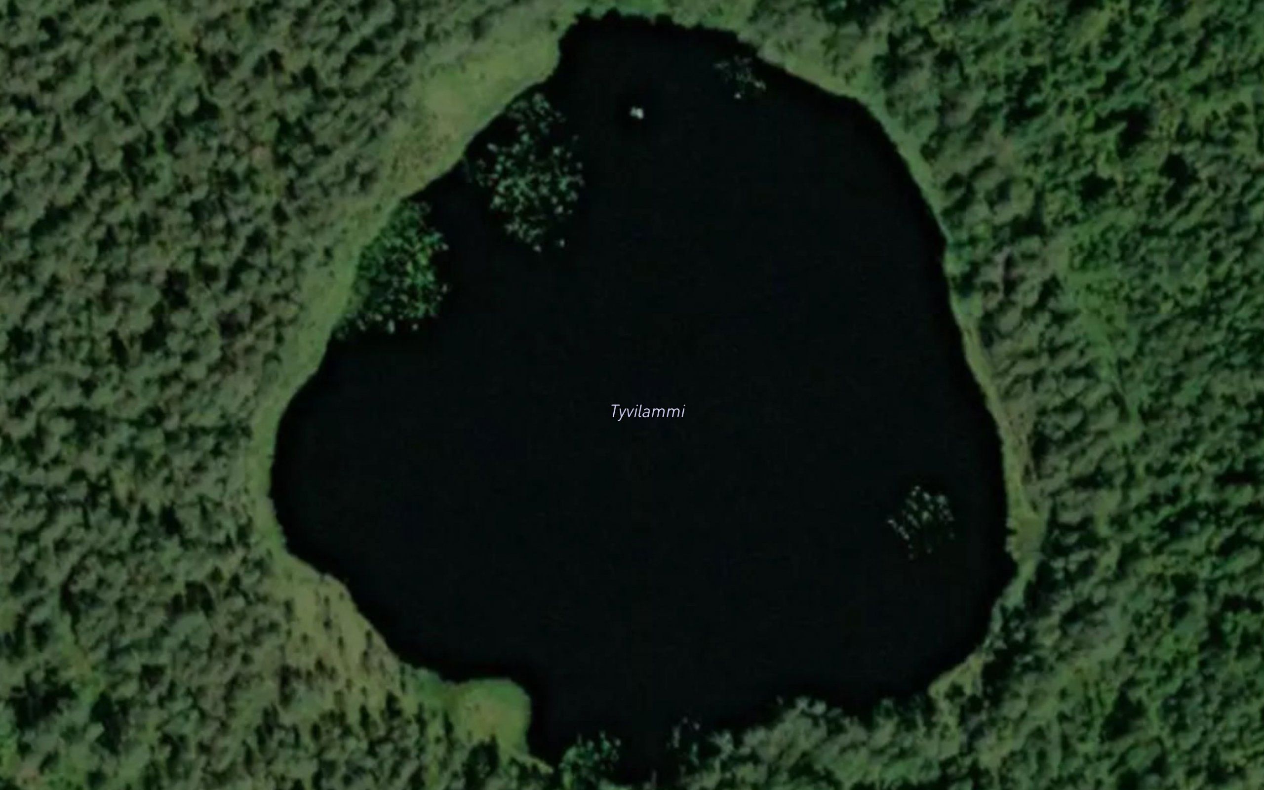 Tyvilammi