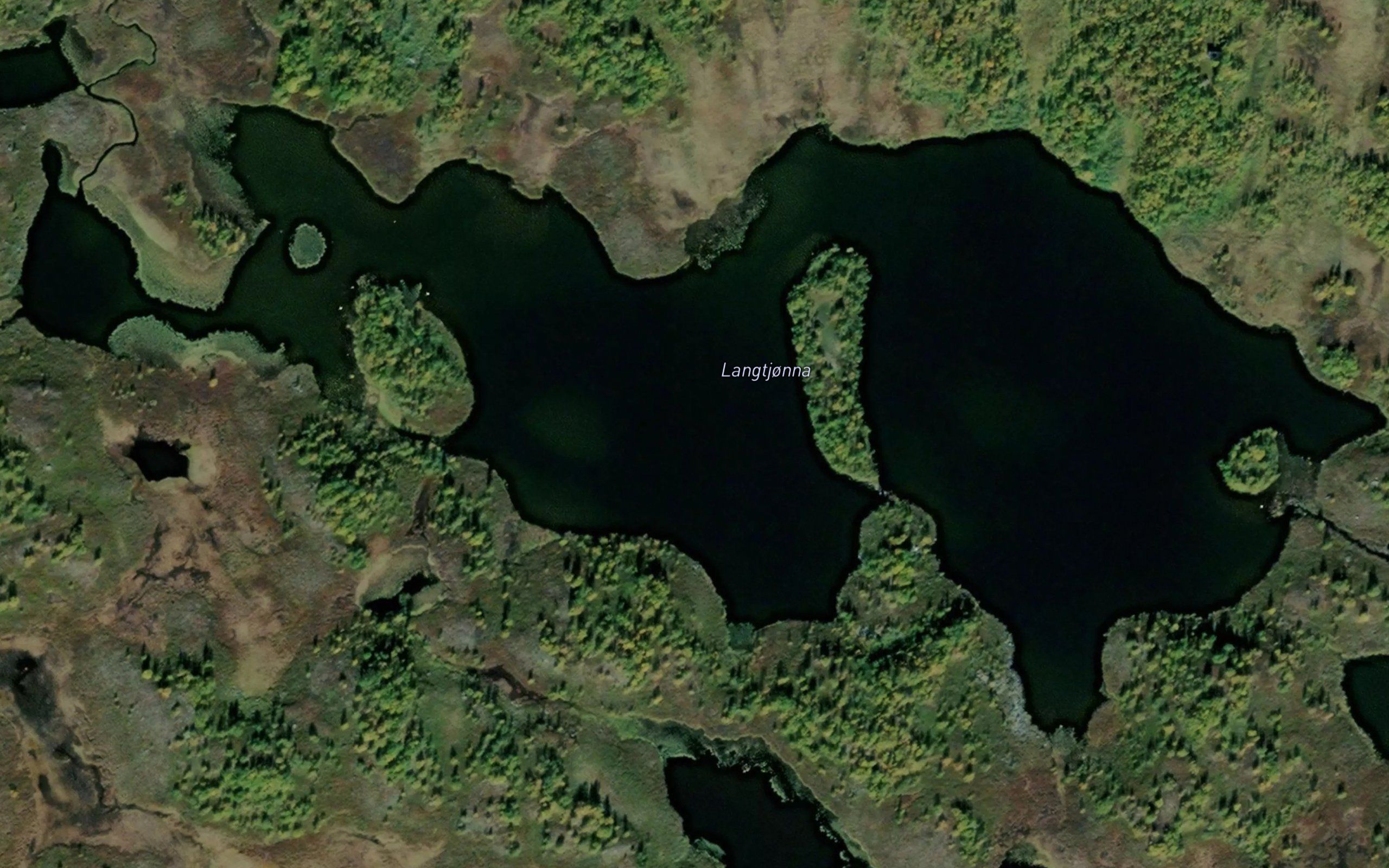 Langtjorna