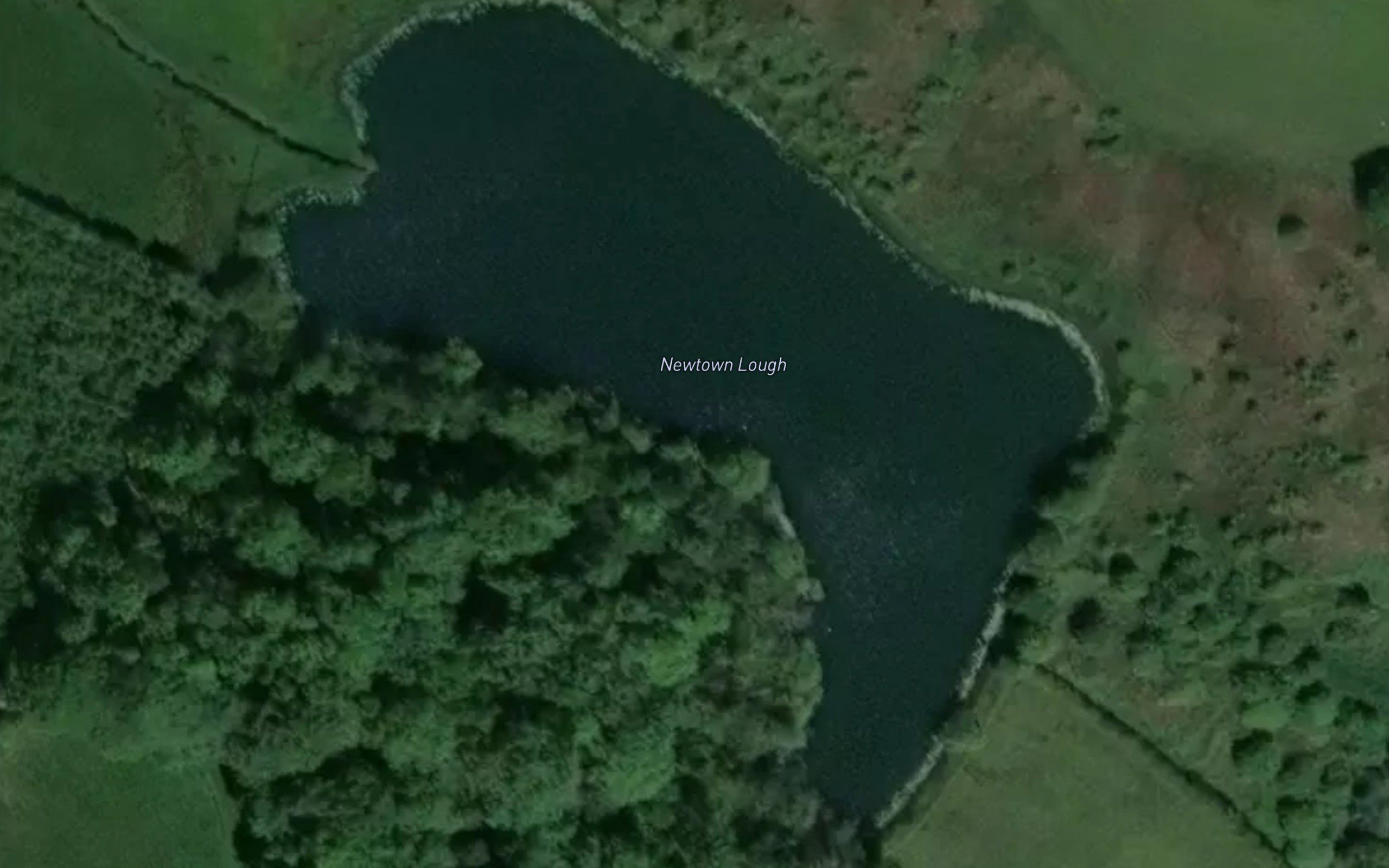 Newtown Lough