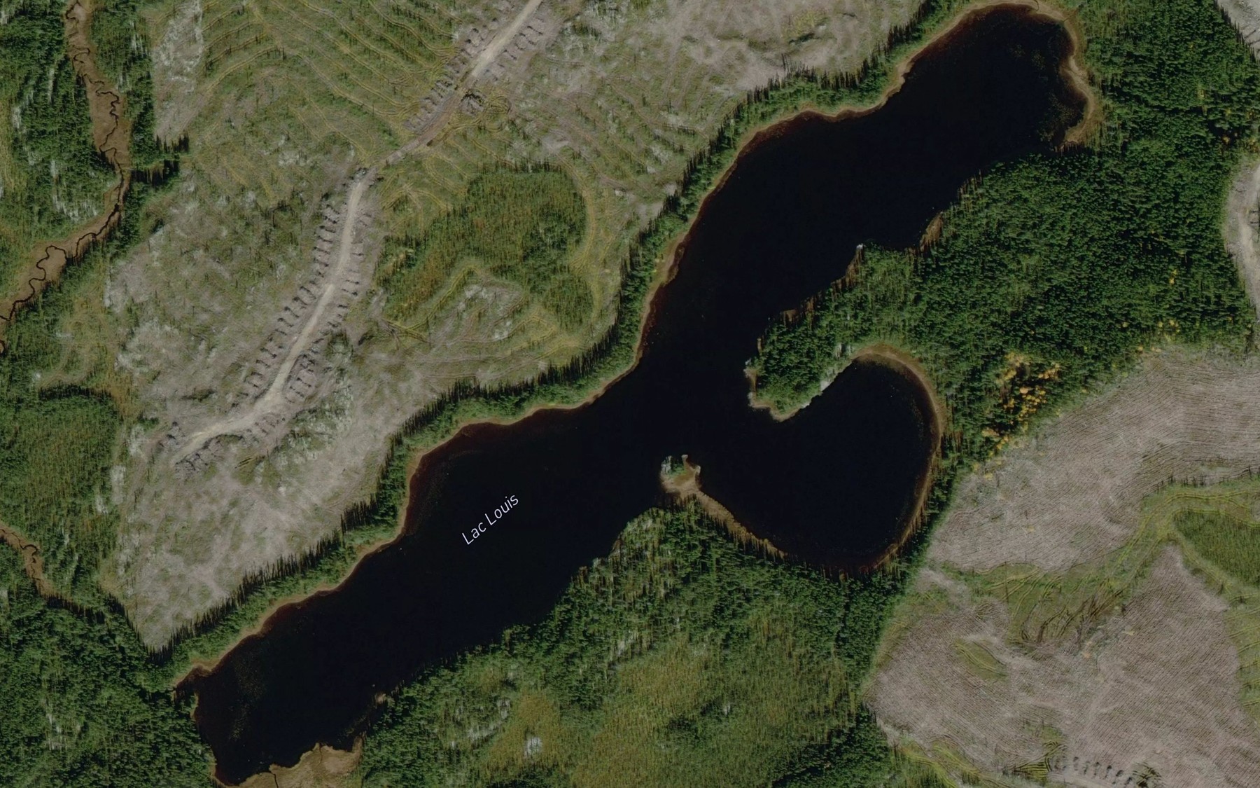 Satellite map of the Lac Louis