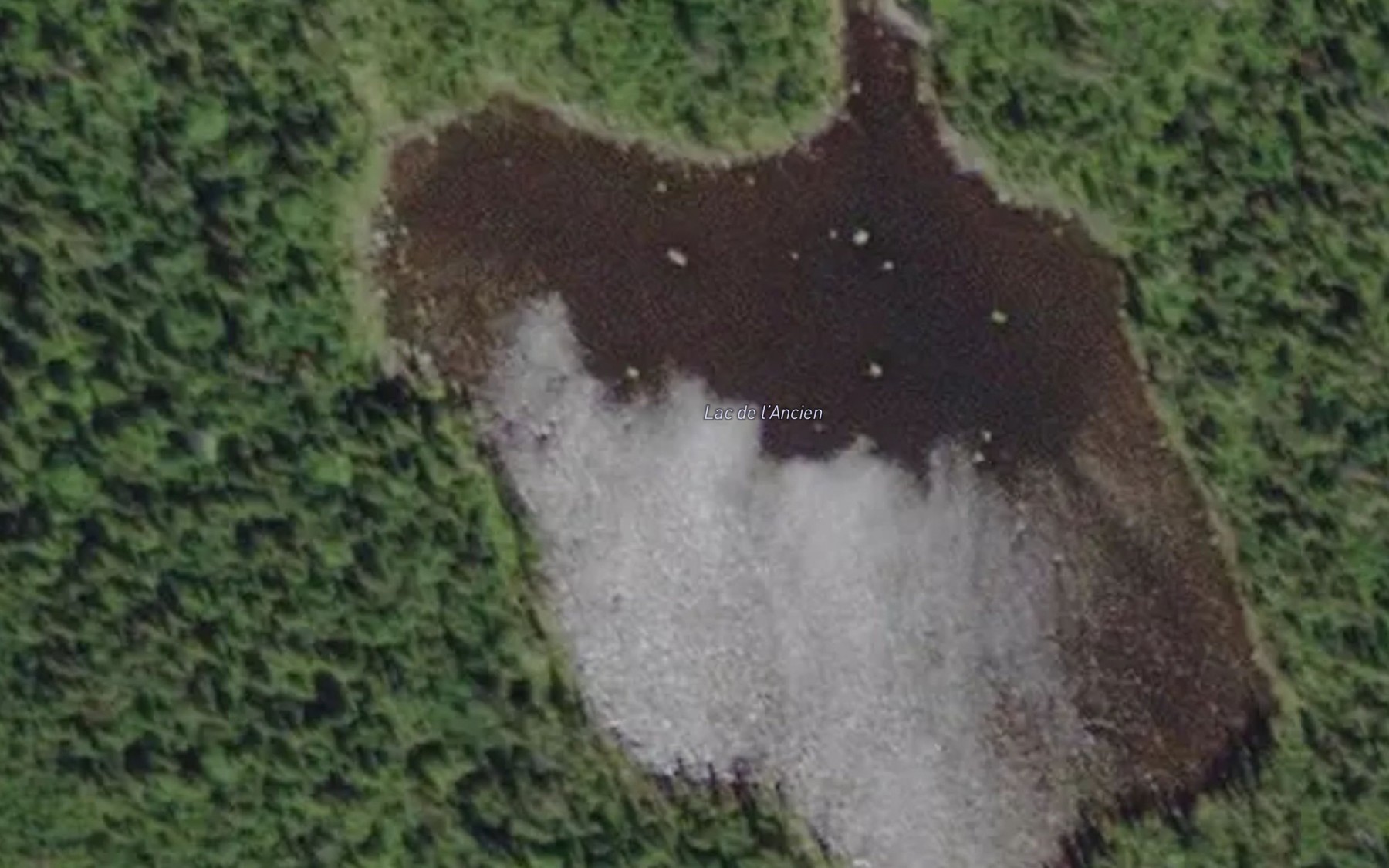Satellite map of the Lac de l'Ancien