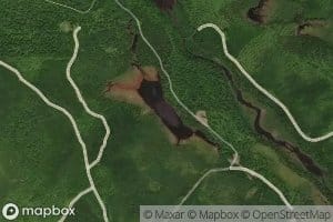 Long Bog