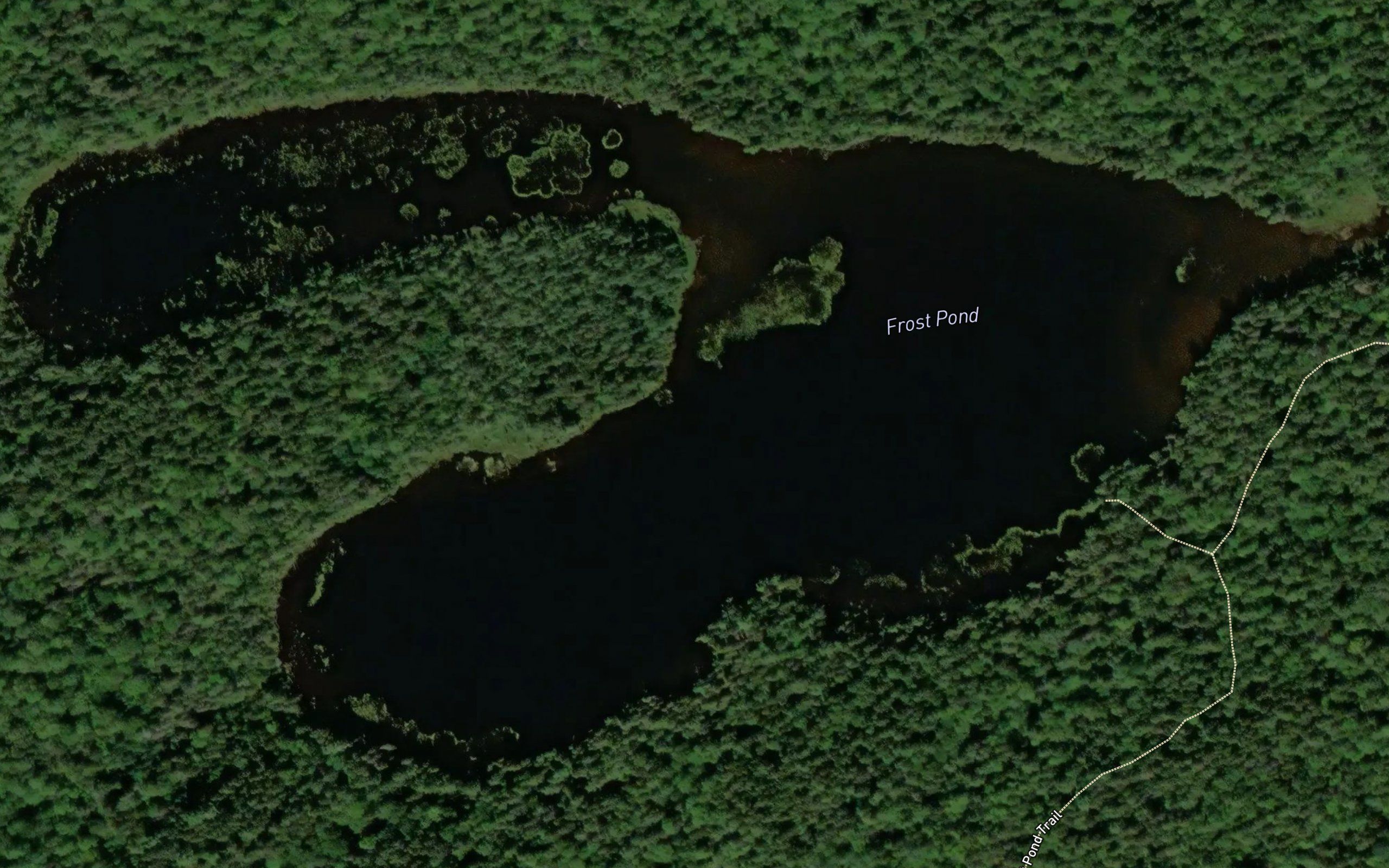 Frost Pond