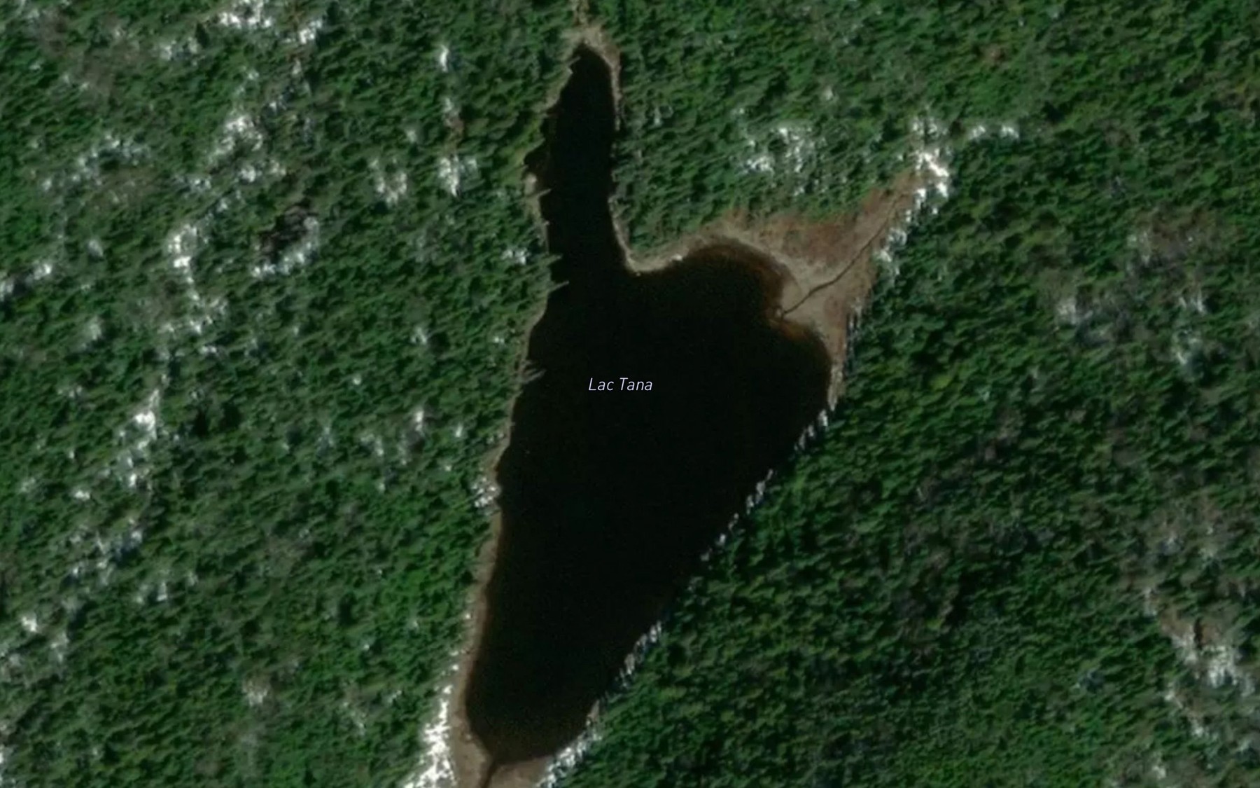 Satellite map of the Lac Tana