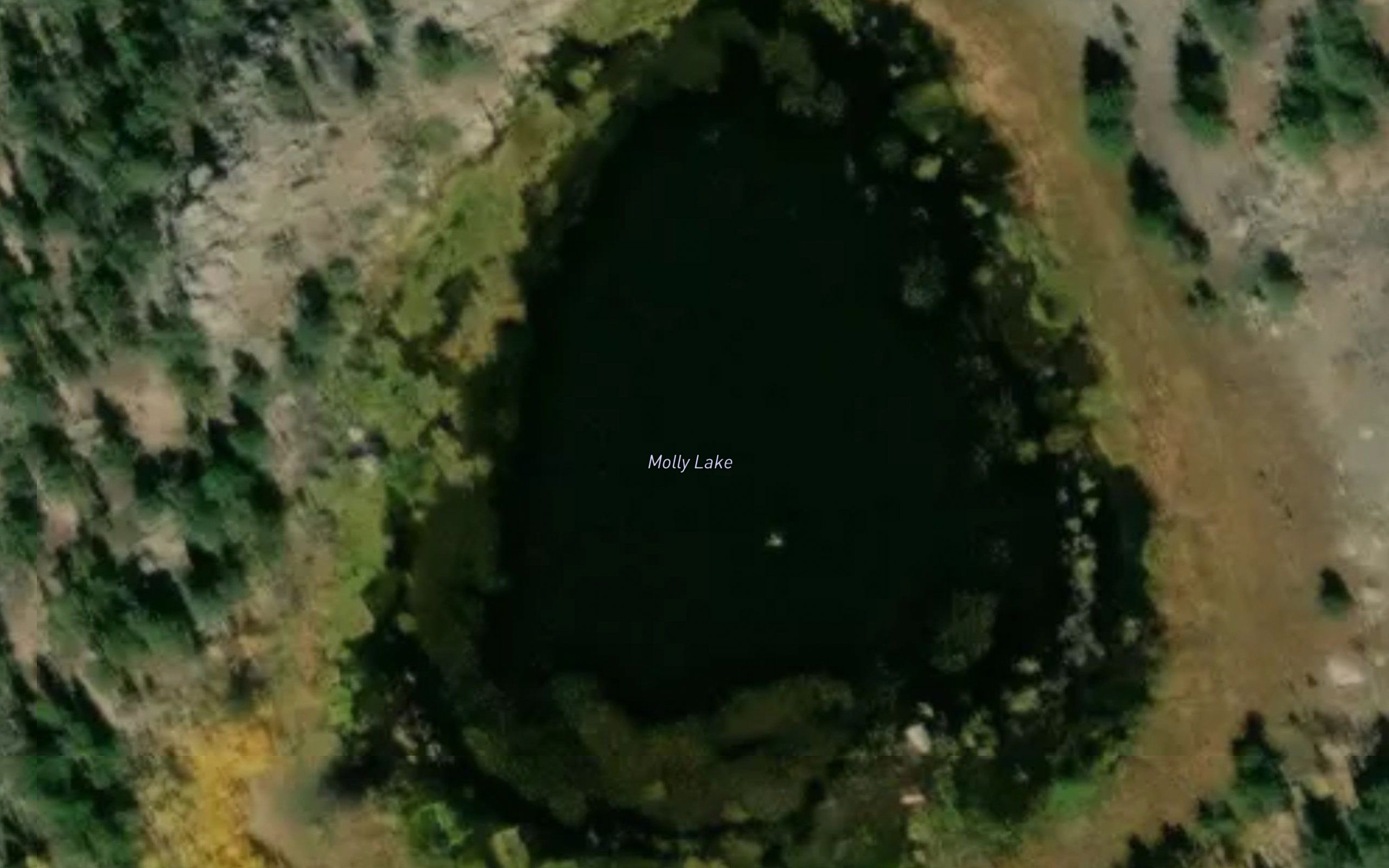 Molly Lake