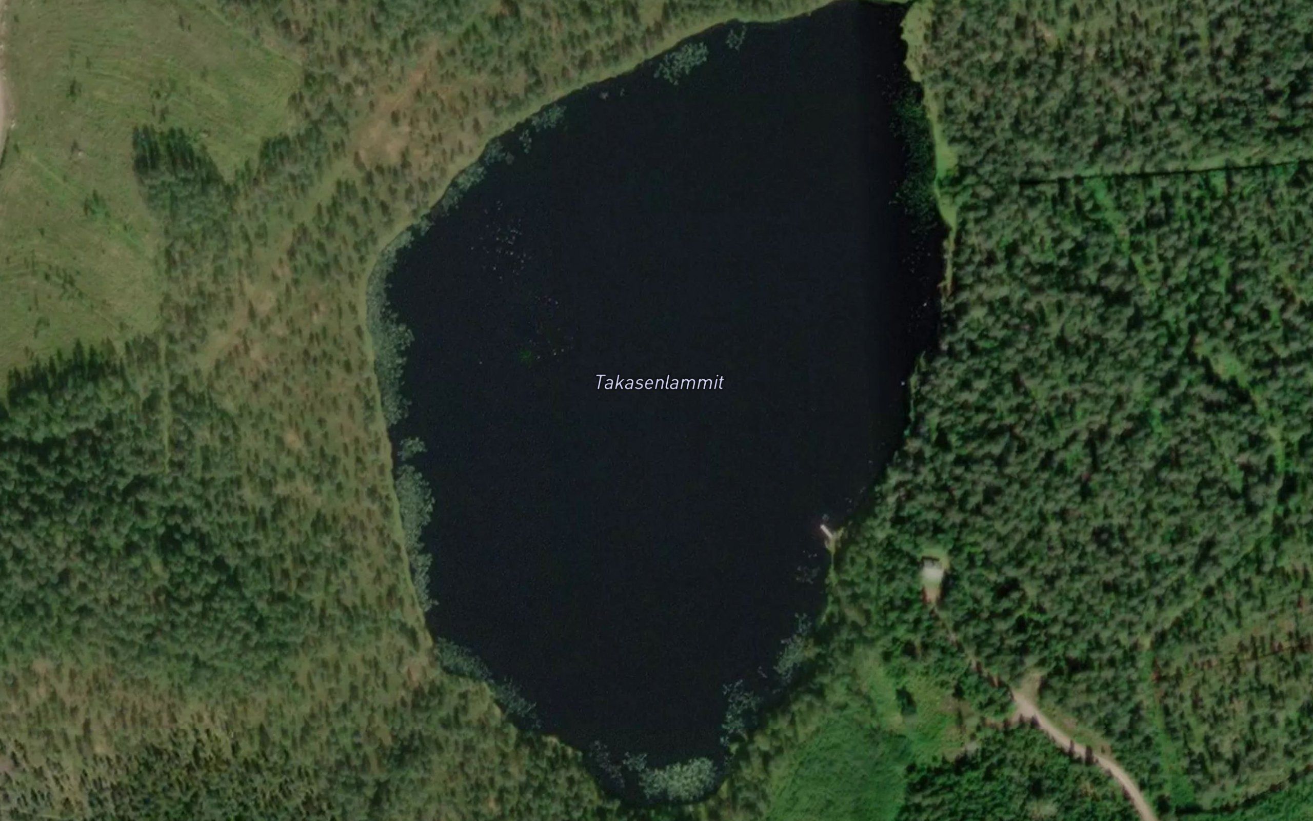 Takasenlammit