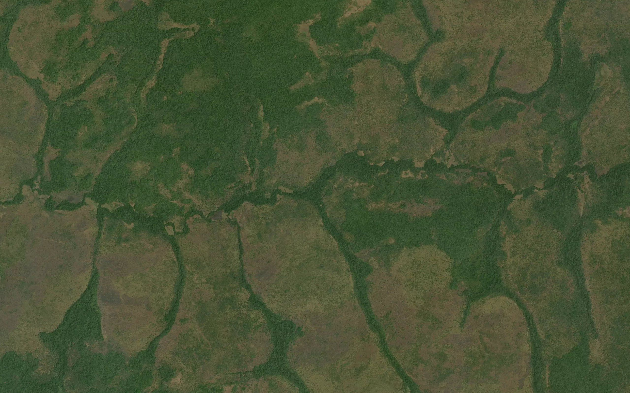 Kalu