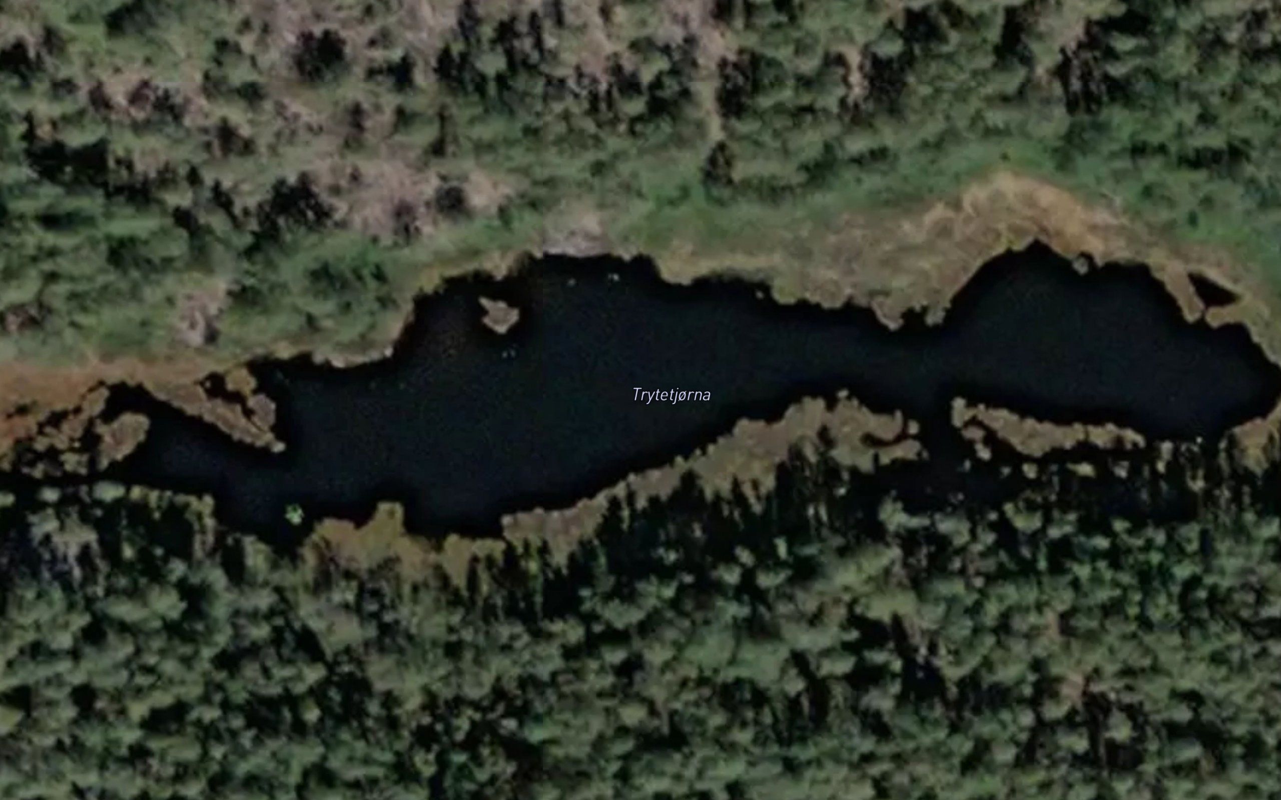 Trytetjorna