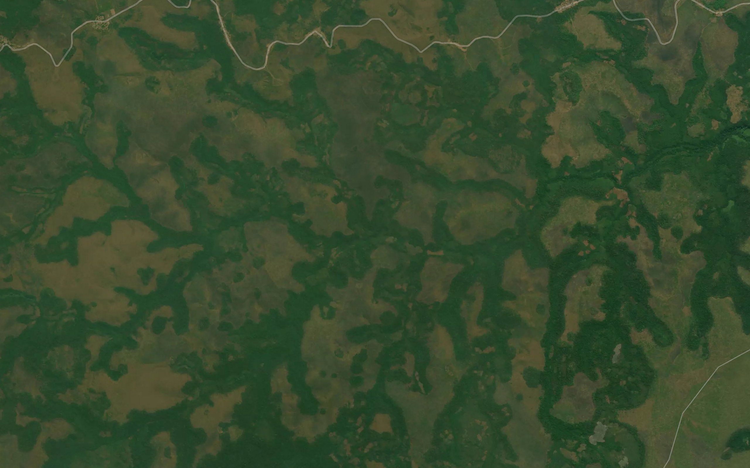 Tsenga