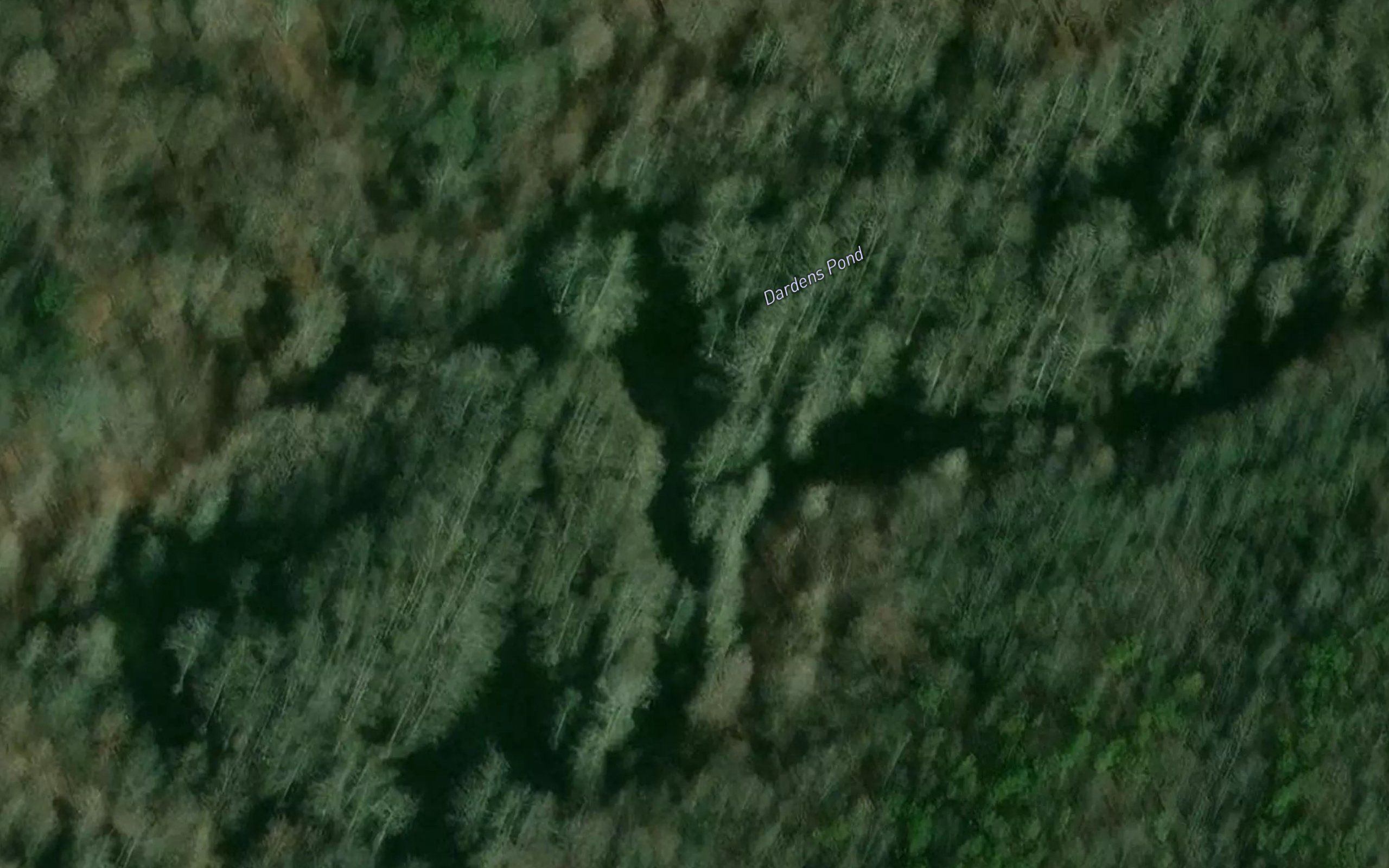 Dardens Pond