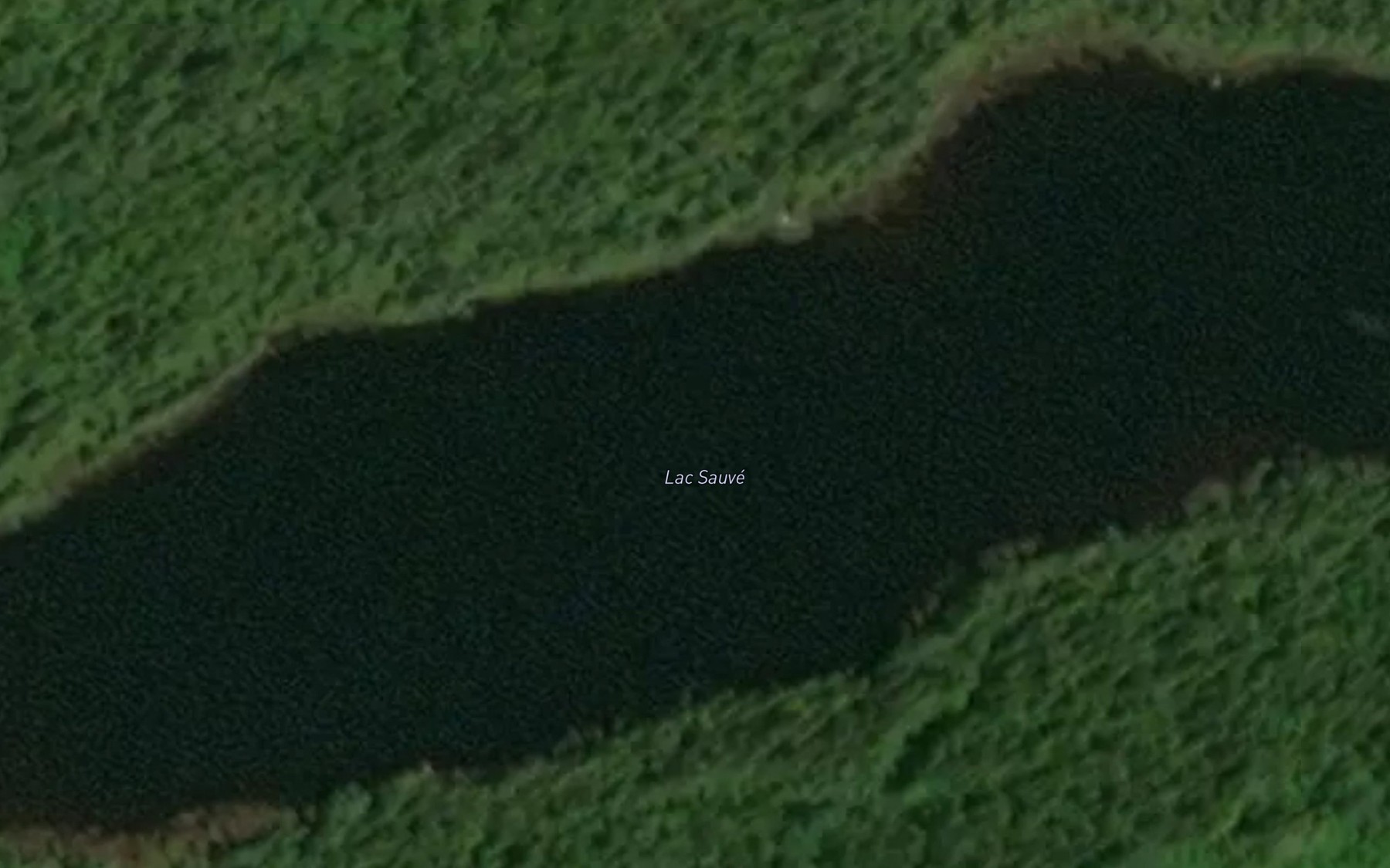 Satellite map of the Lac Sauve