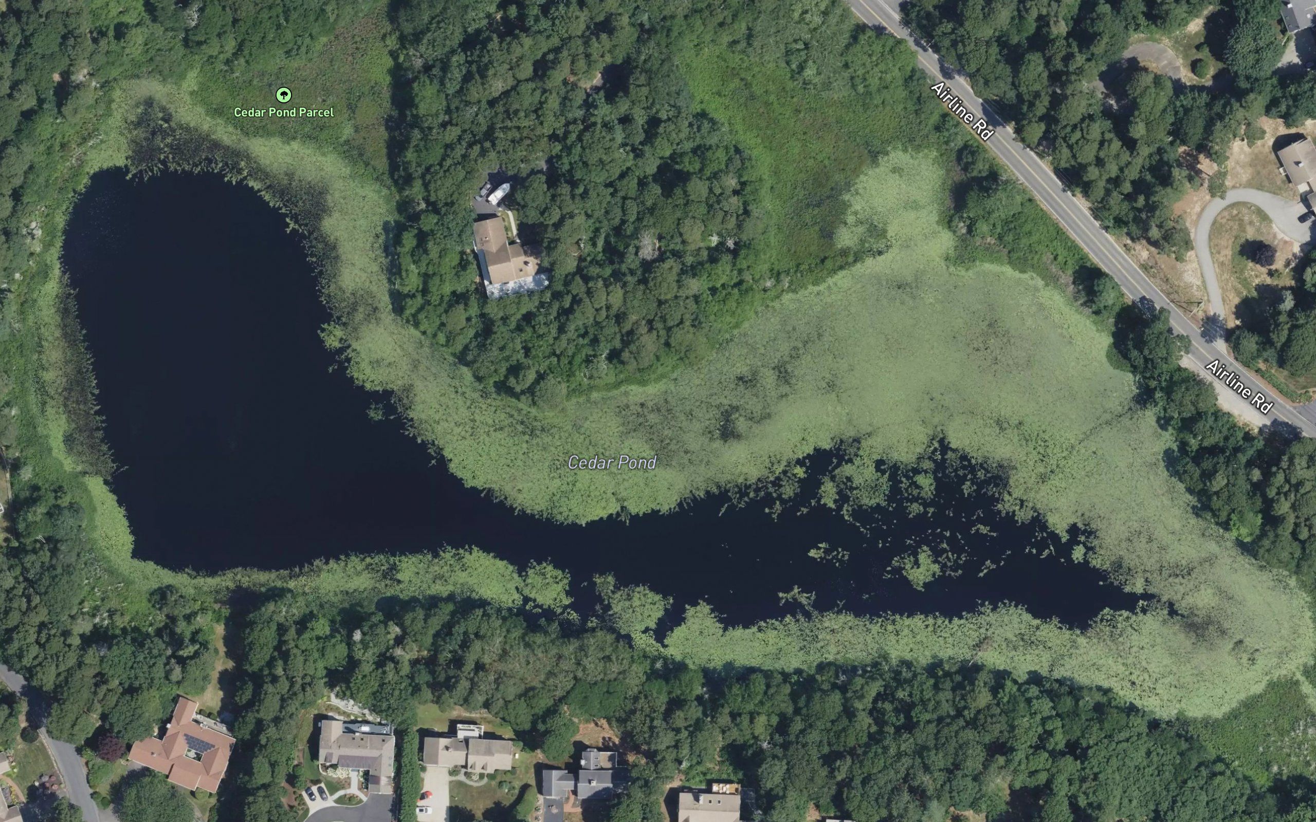 Aunt Pattys Pond