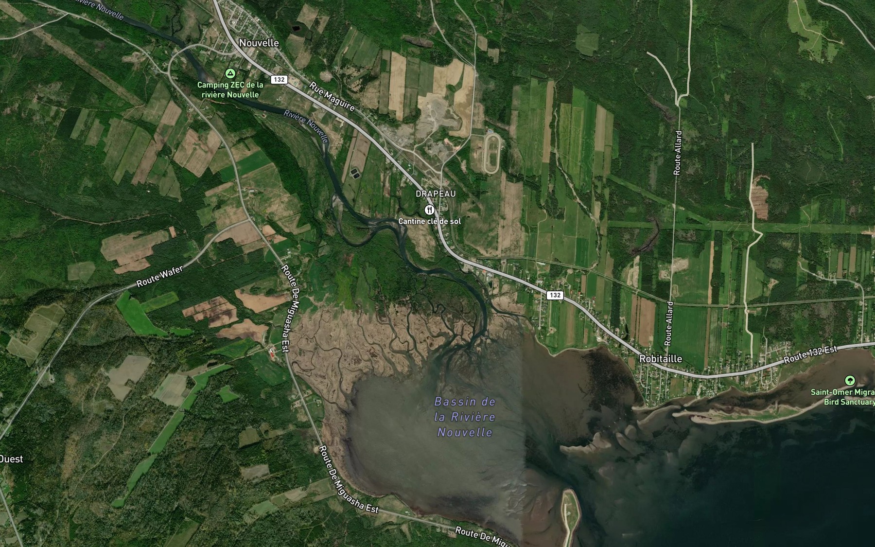 Satellite map of the Riviere Nouvelle