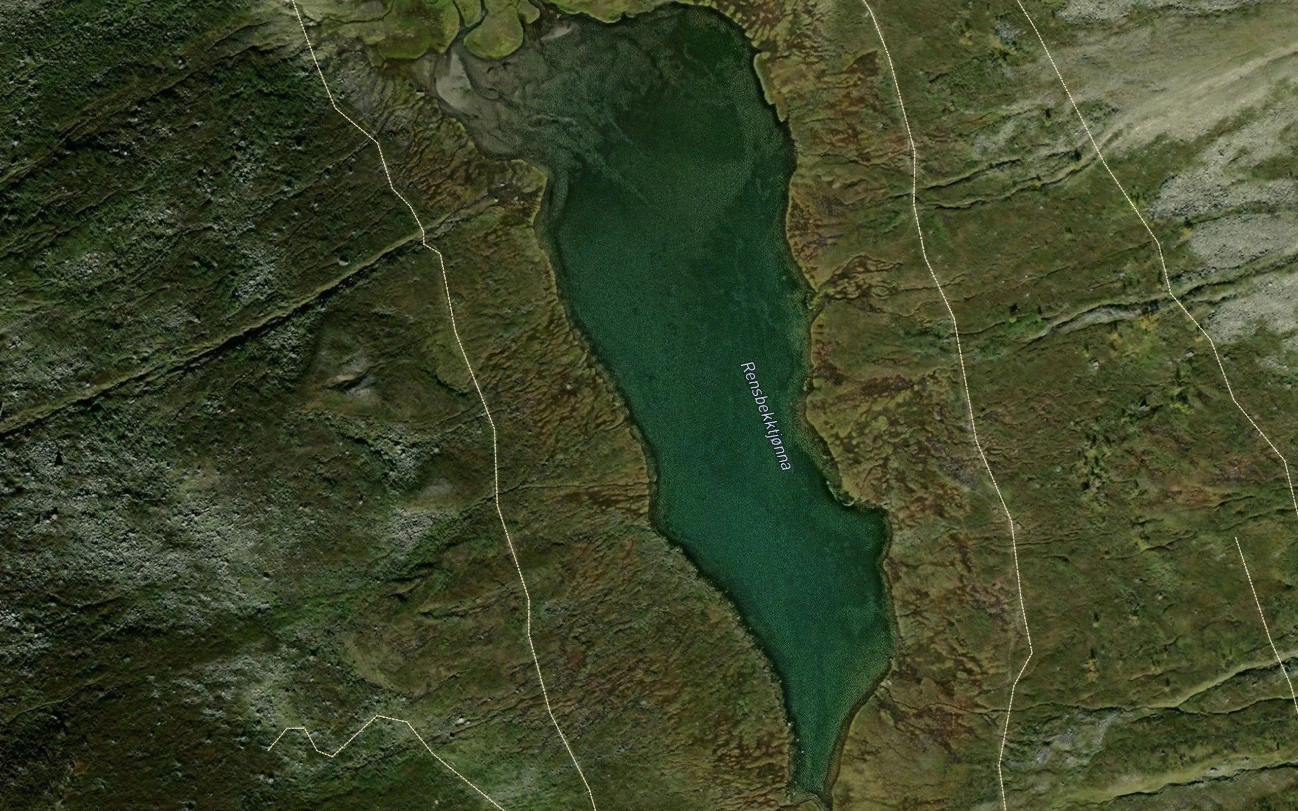 Reinsbekktjonna
