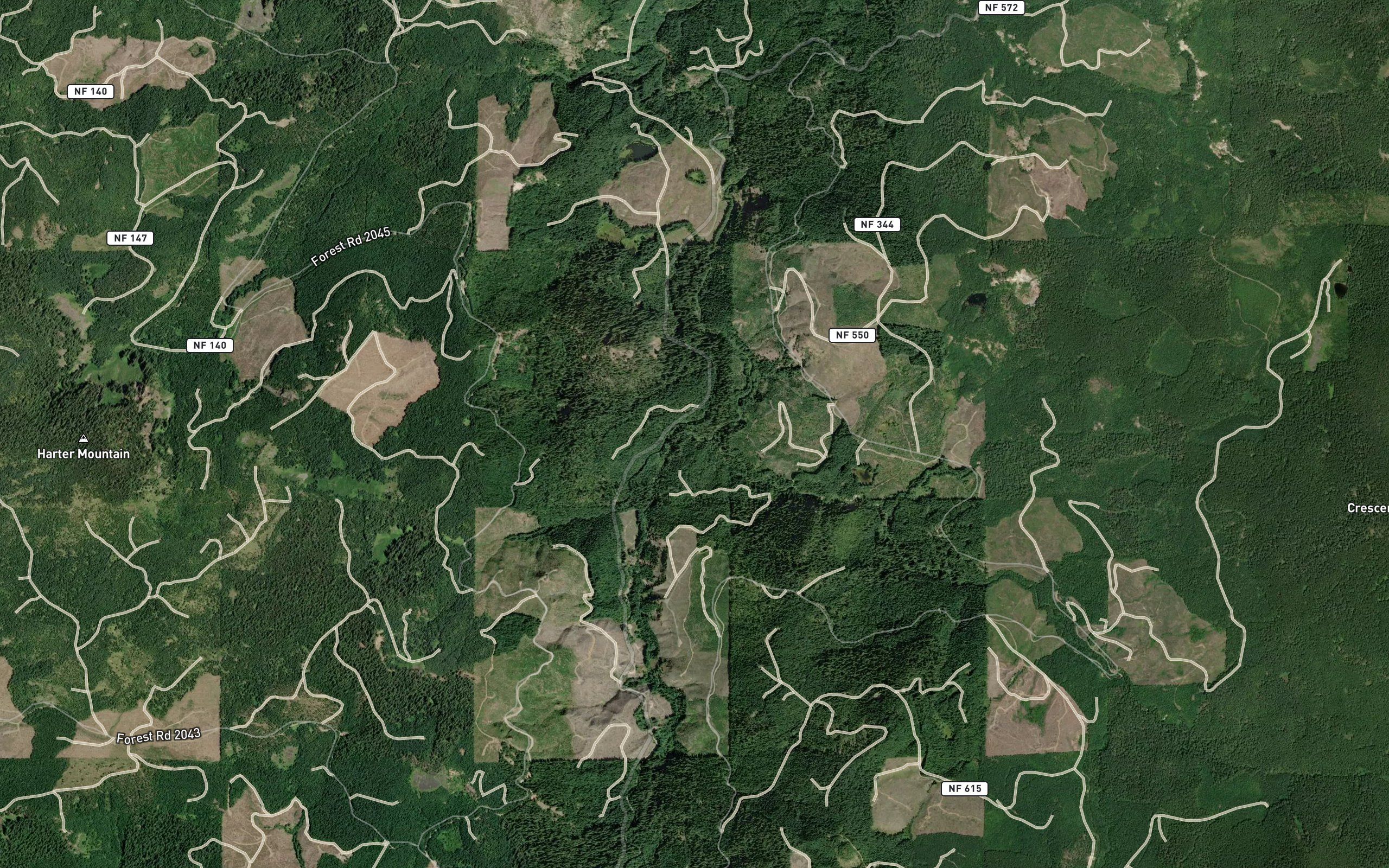 Cougar Creek