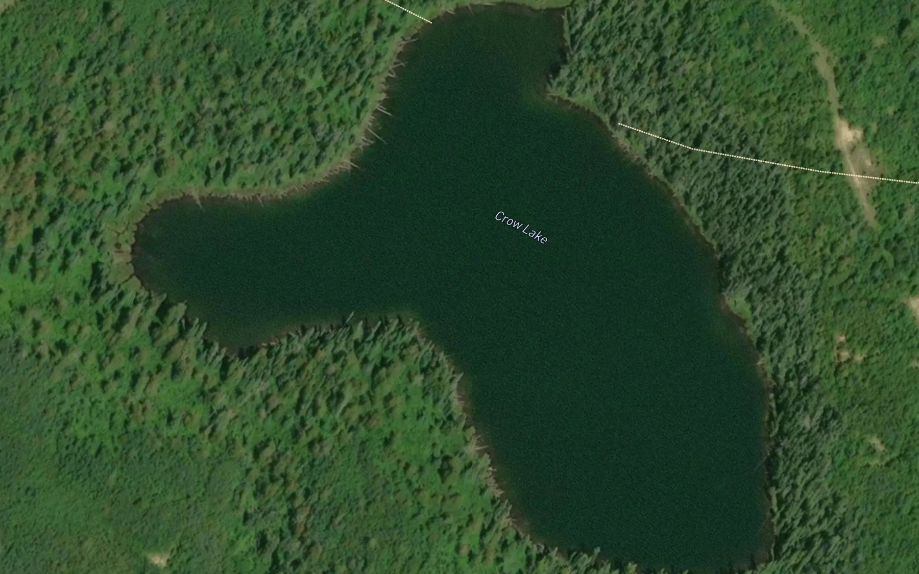 Satellite map of the Crow Lake