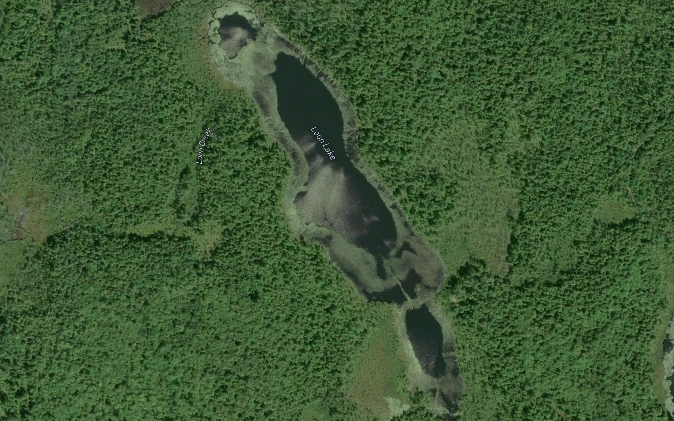 Loon Lake