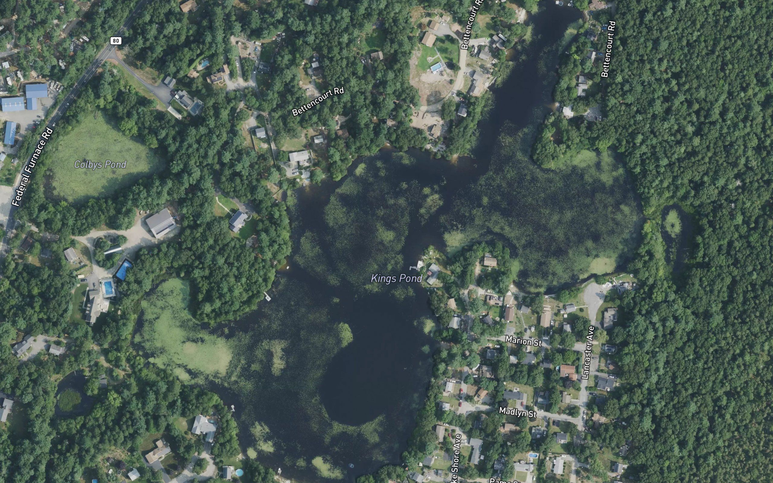 Kings Pond