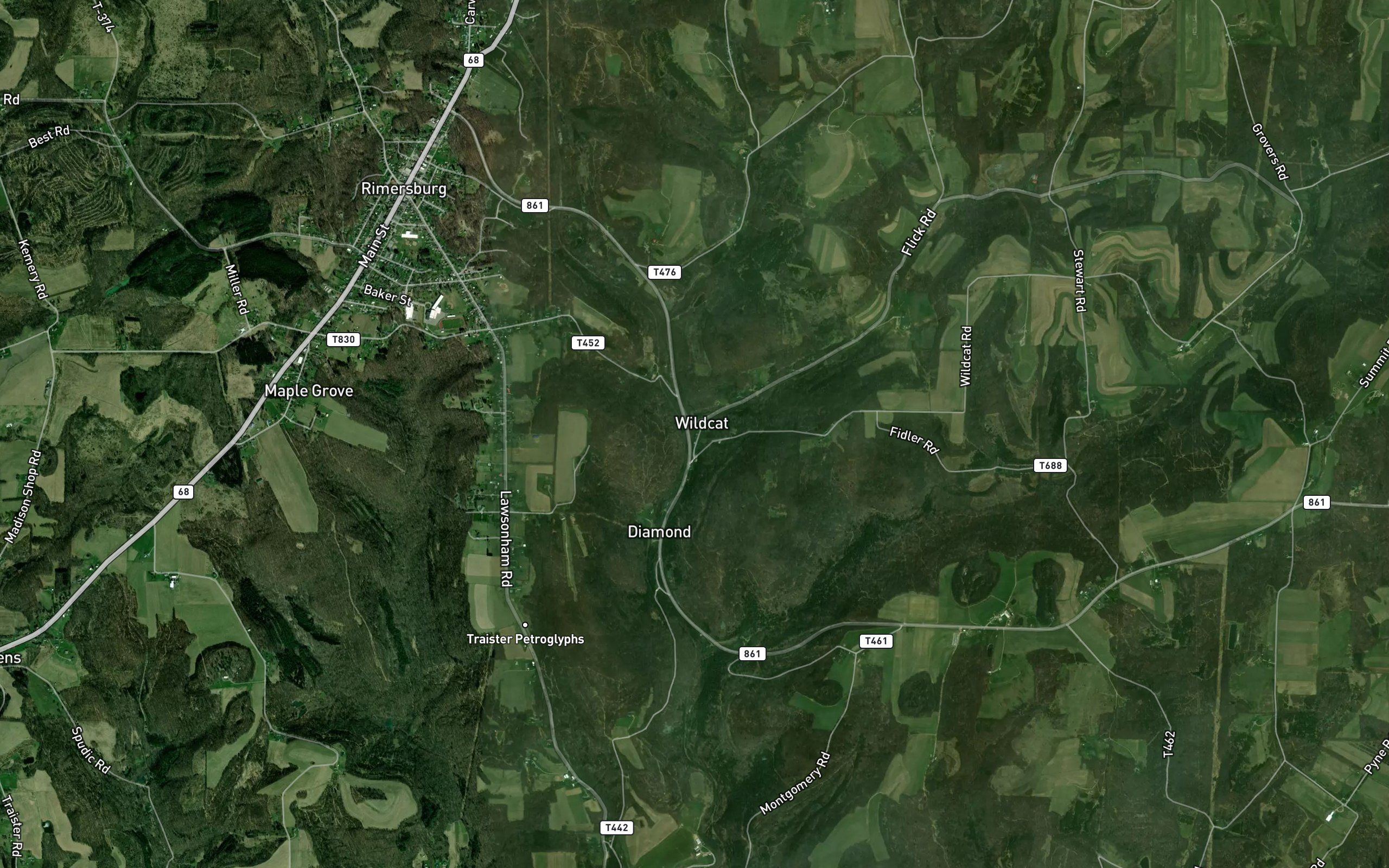 Wildcat Run East Fork