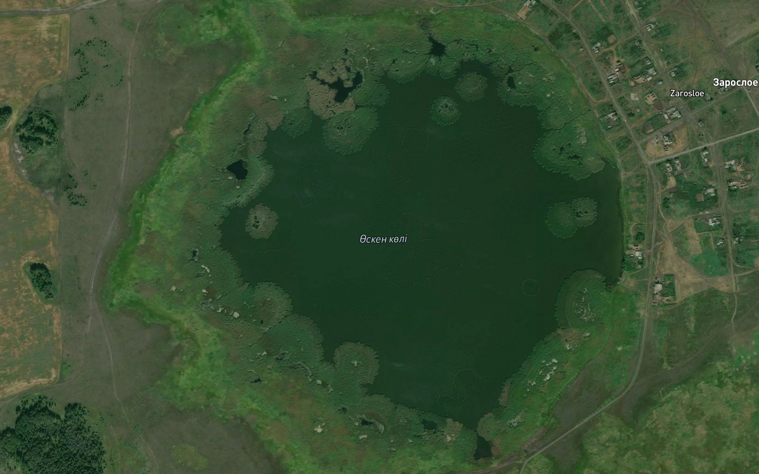 Ozero Zarosloye
