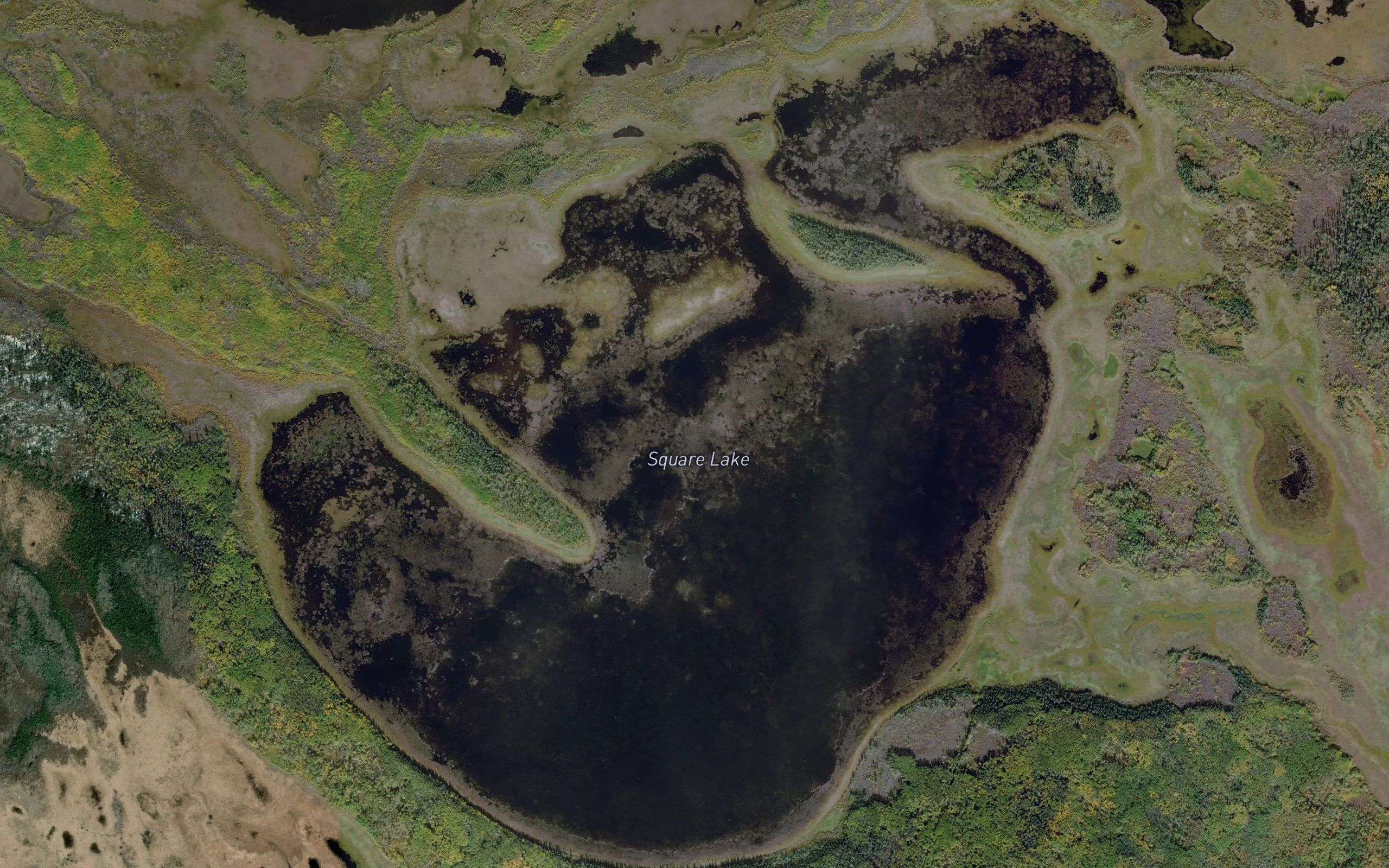 Square Lake