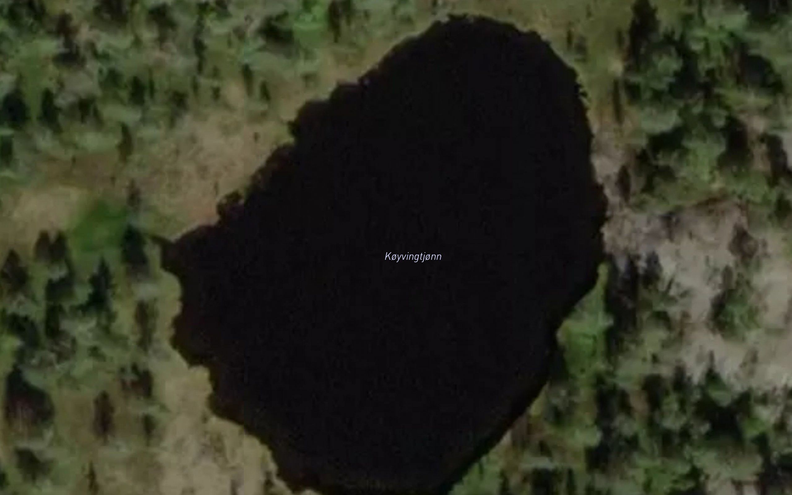 Koyvingtjonn