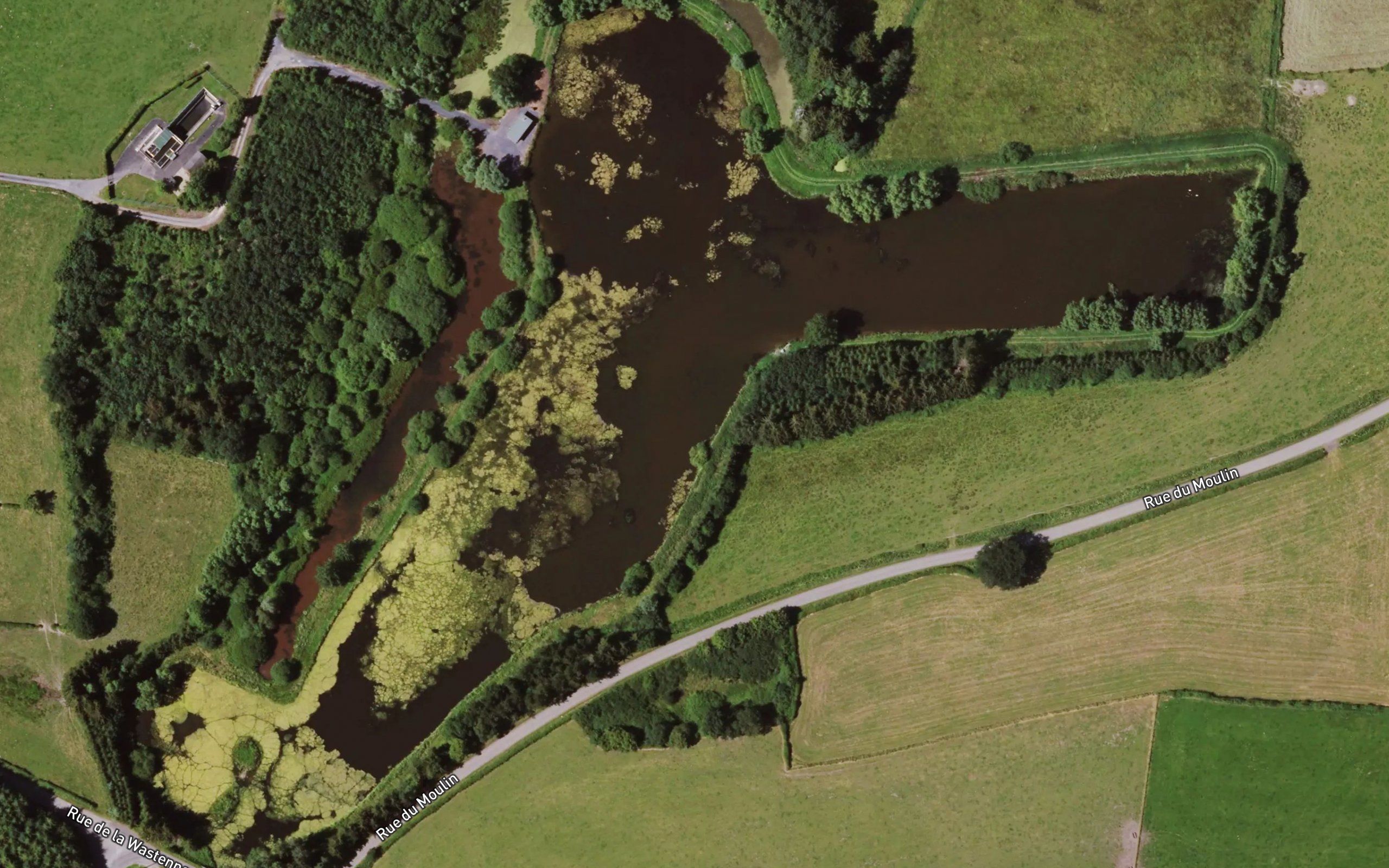 Etang du Moulin