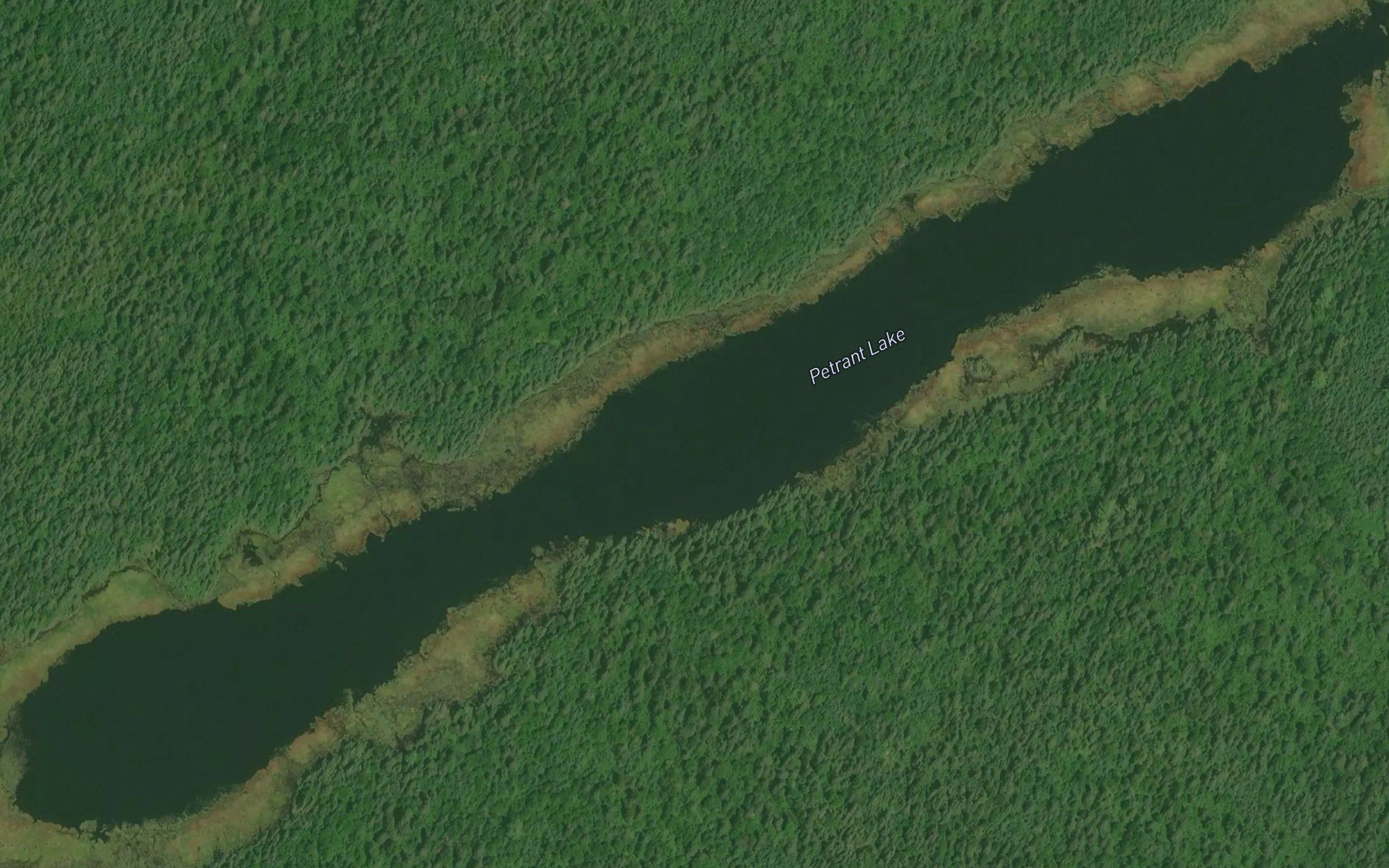 Petrant Lake