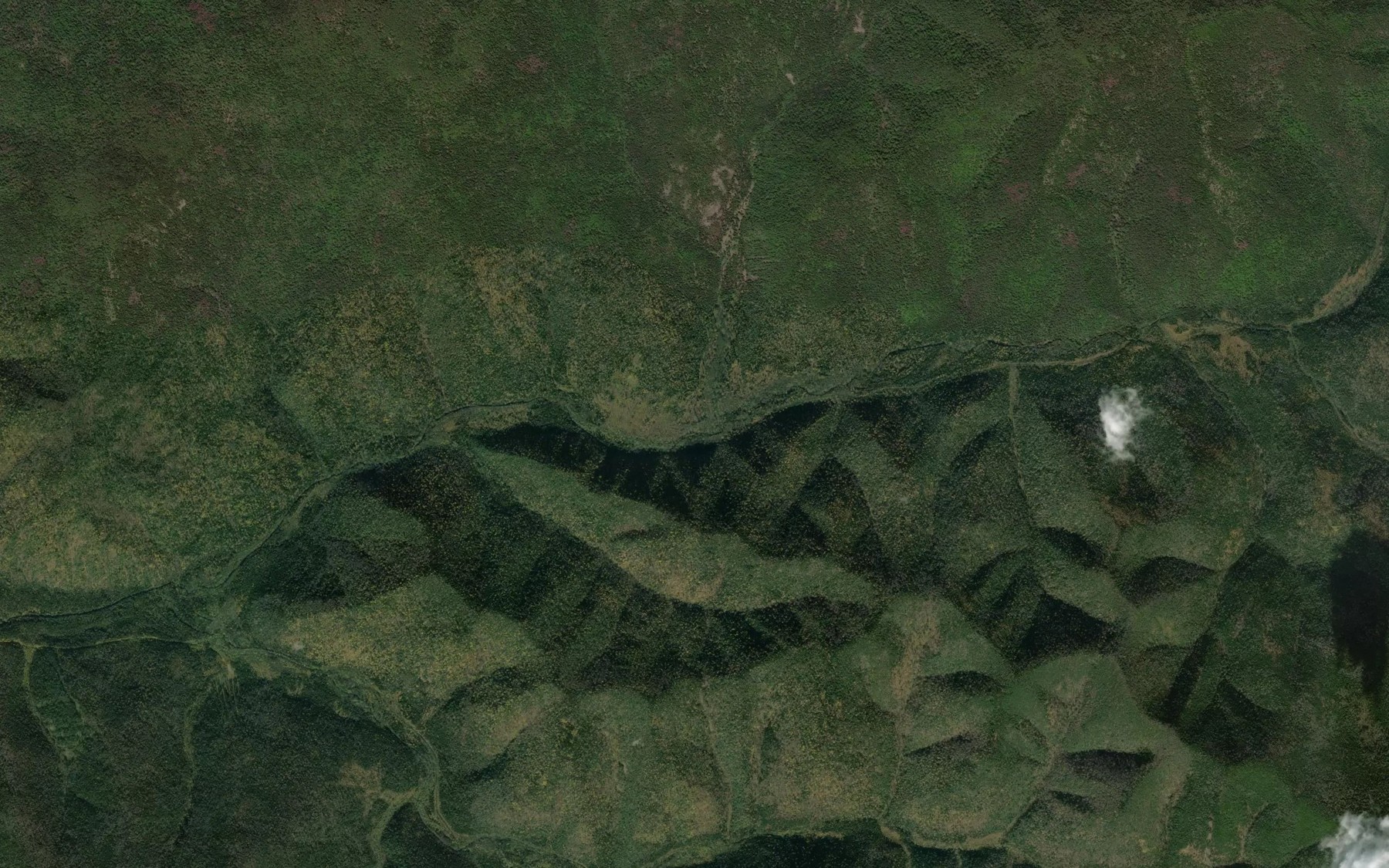 Satellite map of the Chaligi