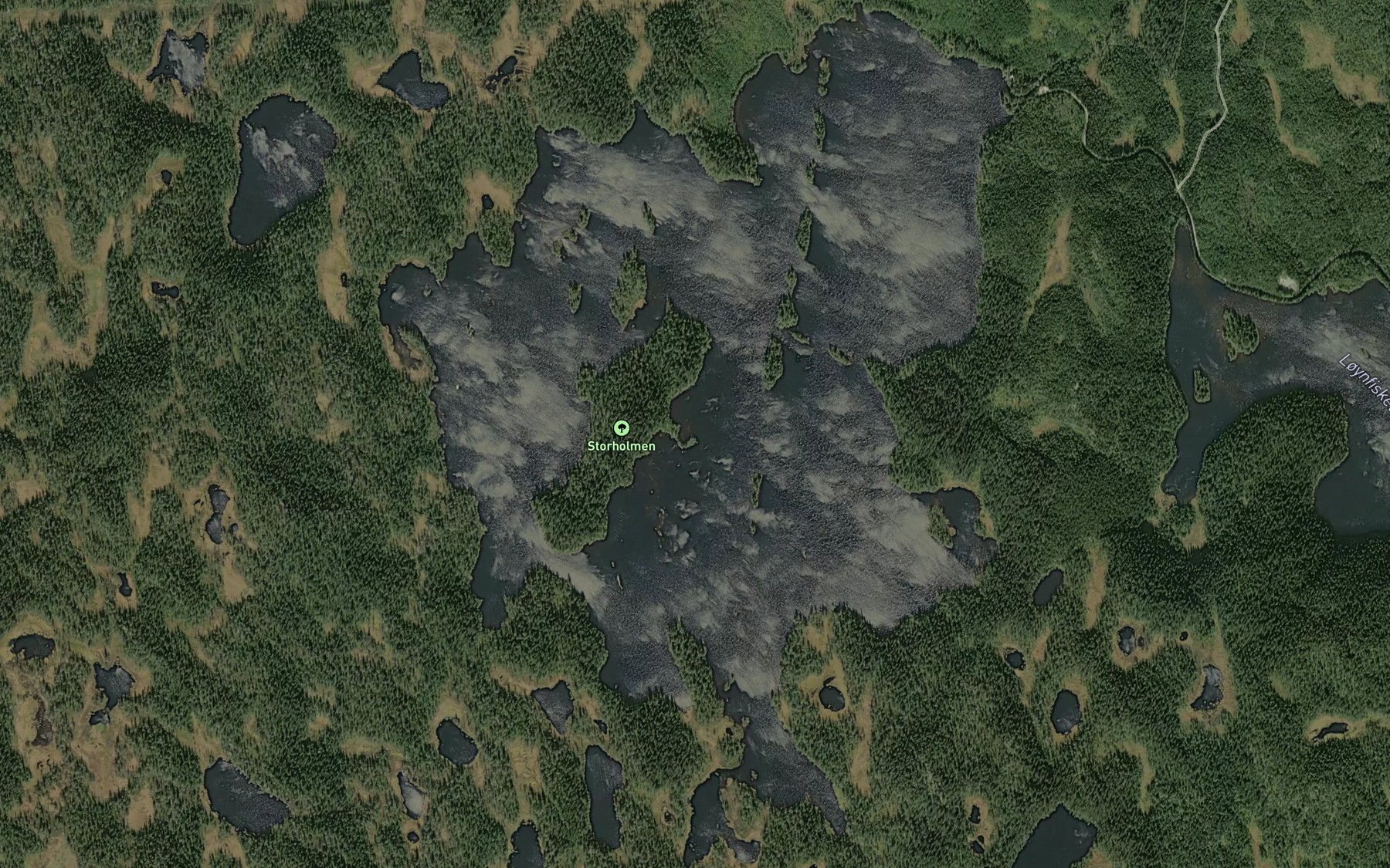 Satellite map of the Selsjoen