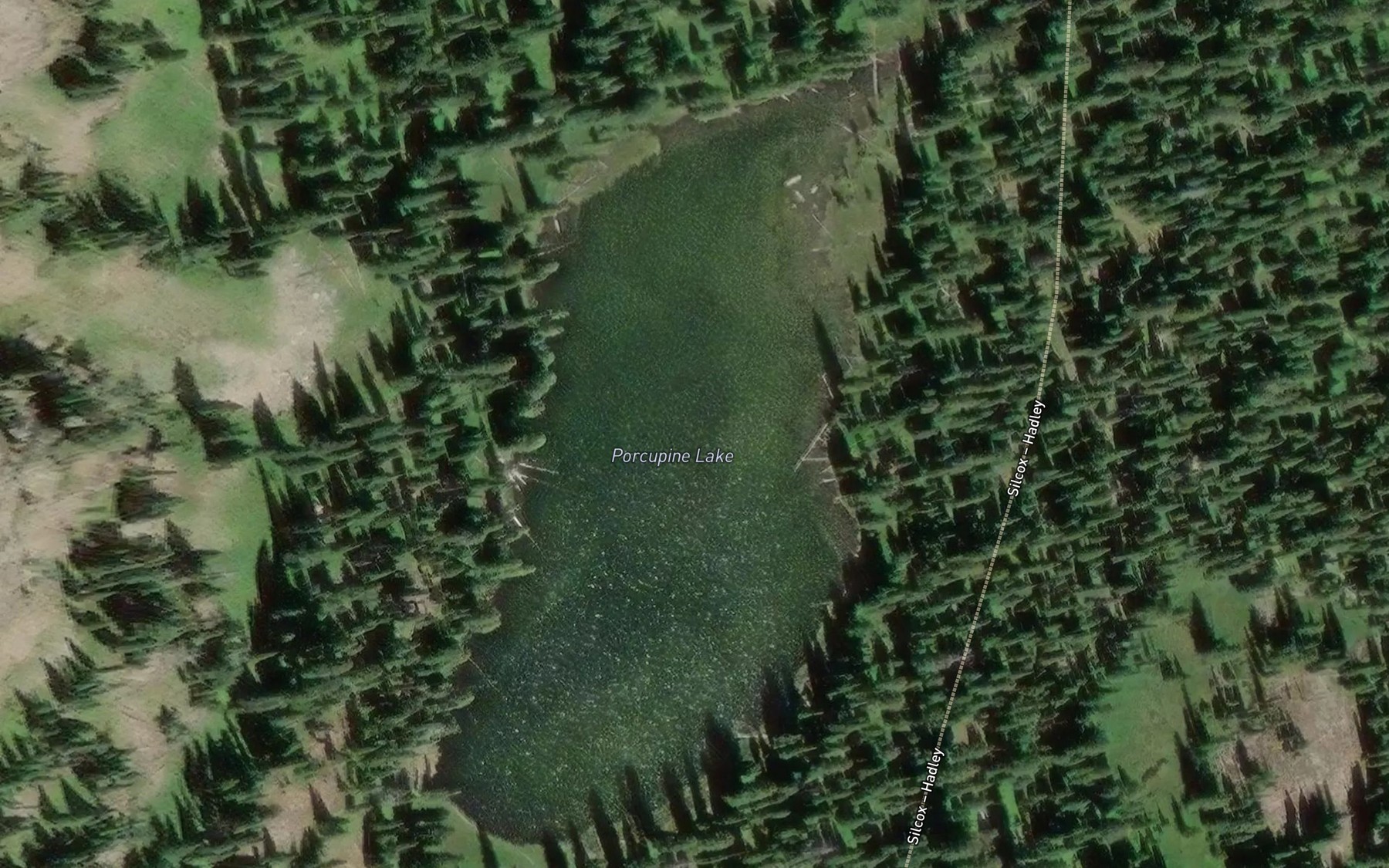 Satellite map of the Porcupine Lake