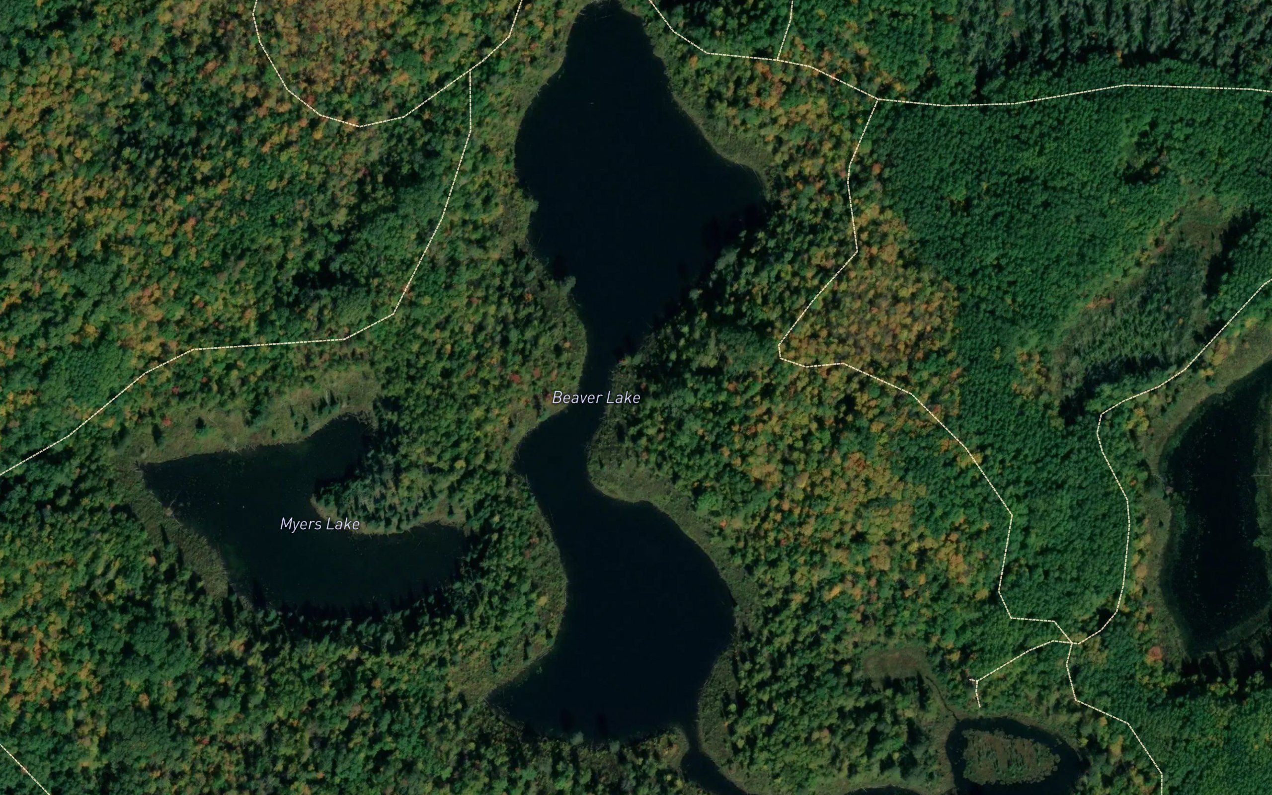 Beaver Lake