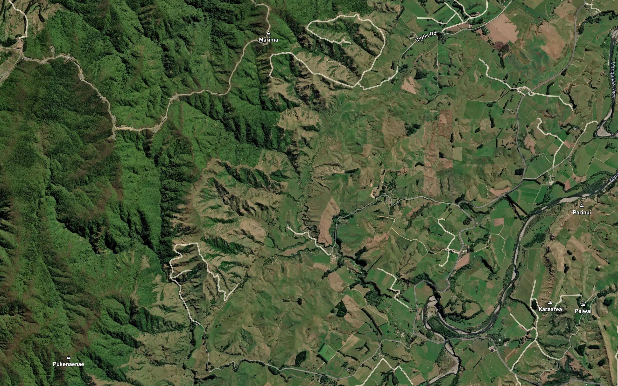 Tainui Stream