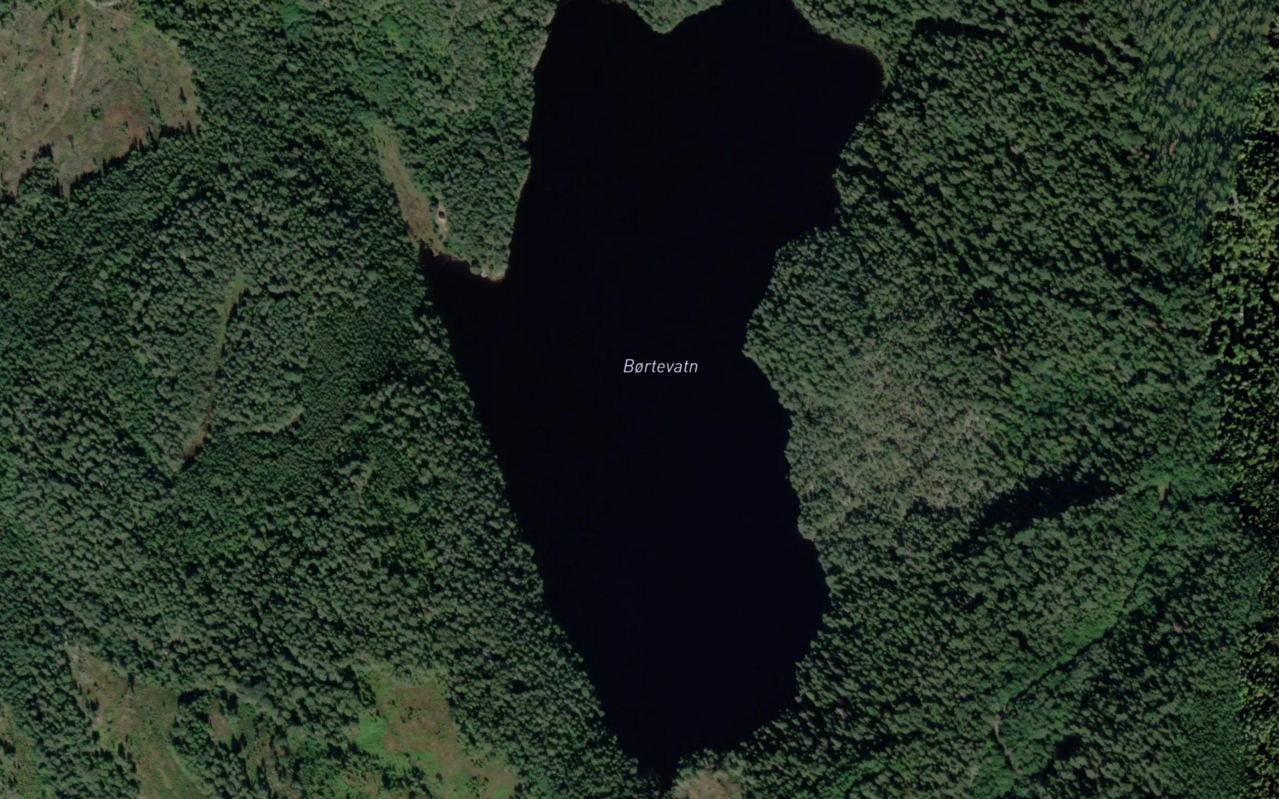 Bortevatn